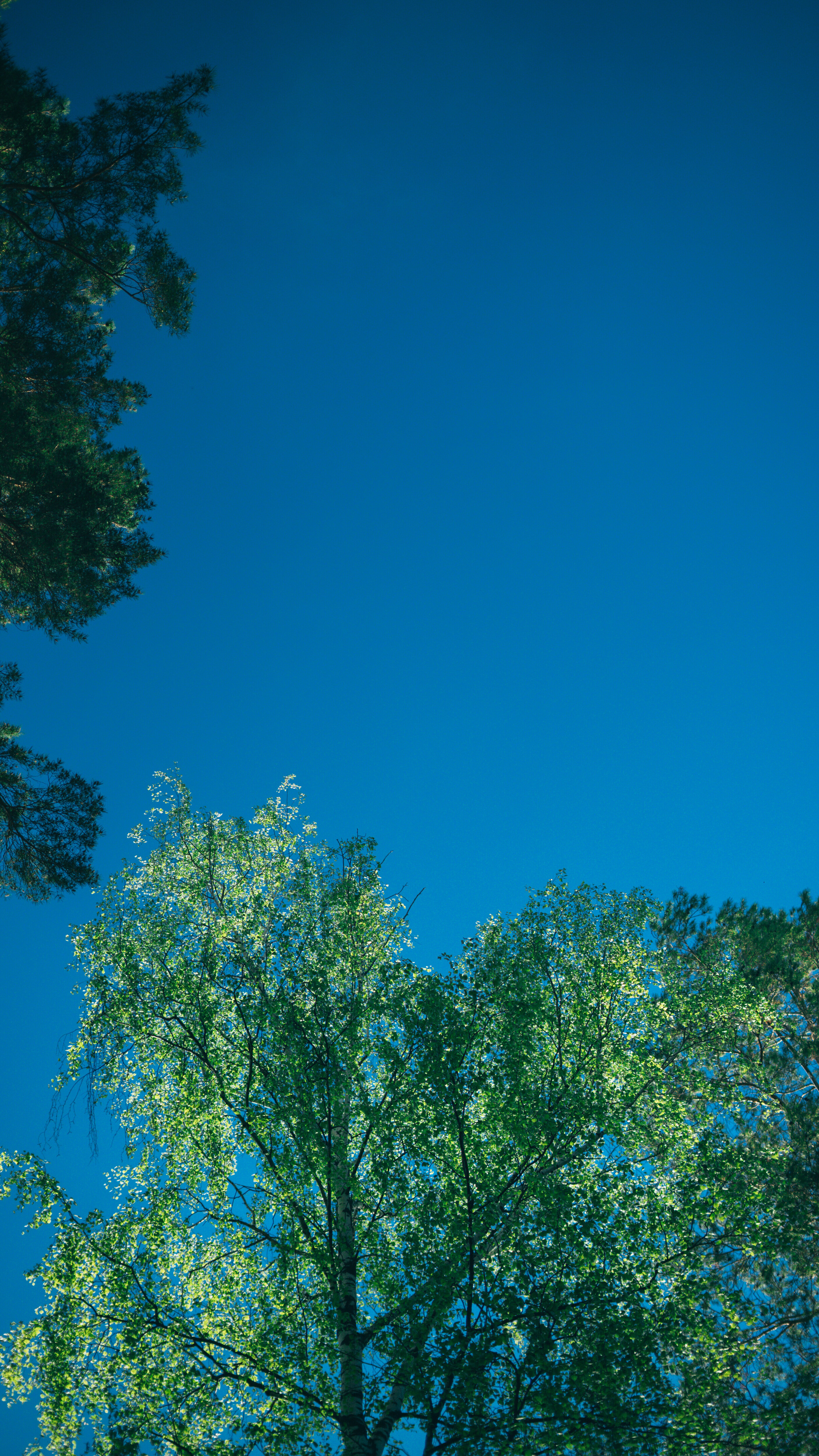 Фото Слобода