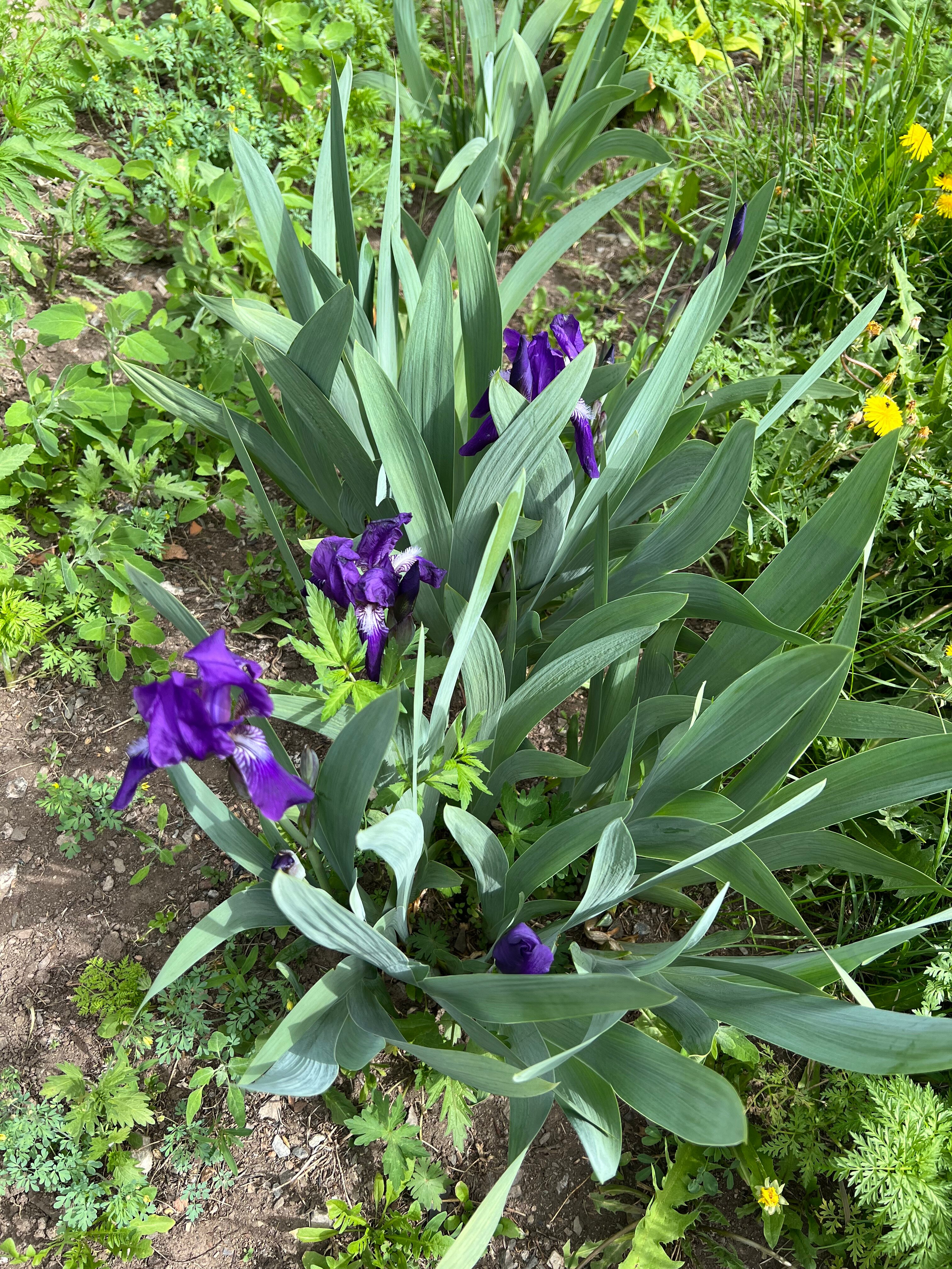 Фото Ночлег у Семинского