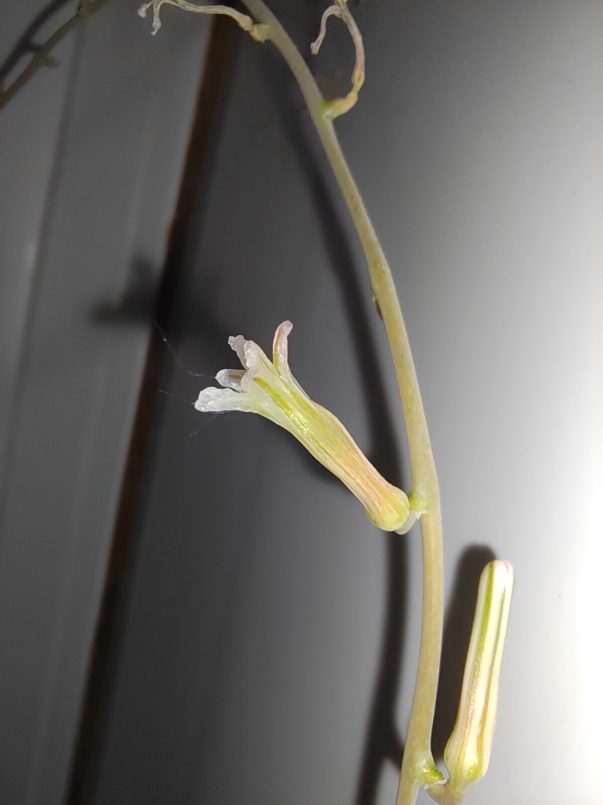 Фото Уютное