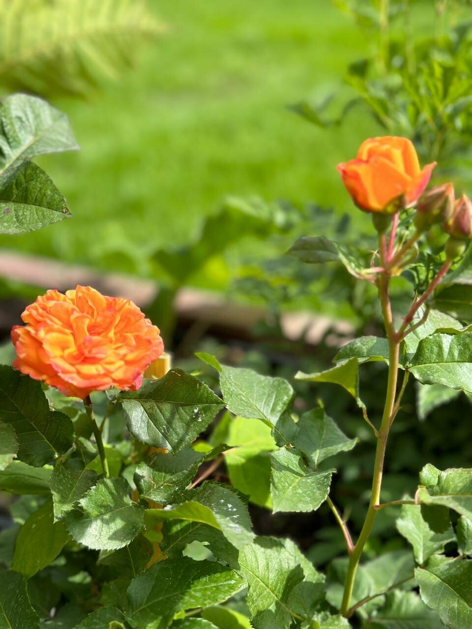 Фото Гостиный Дворъ