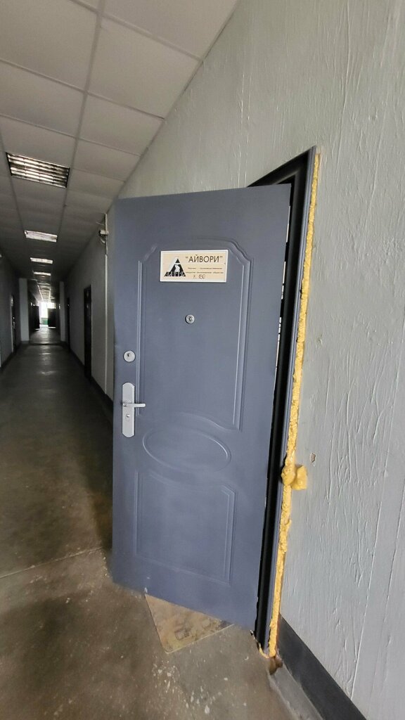 Industrial enterprise Айвори, Minsk, photo