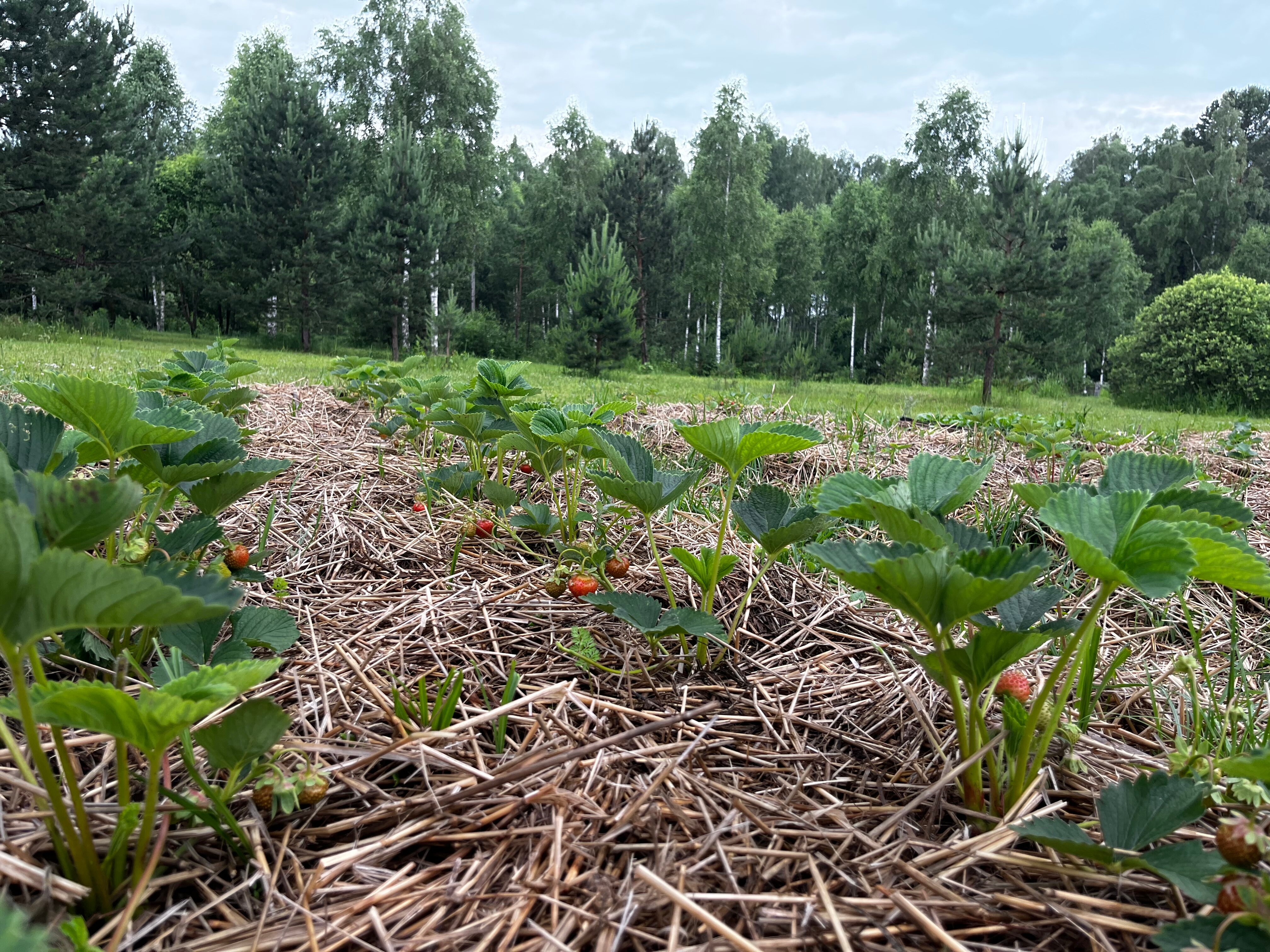 Фото Арт Хаус