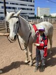 Respublikansky tsentr ippoterapii dlya detey i vzroslykh (Ufa, Avrory Street, 18к1), horse riding