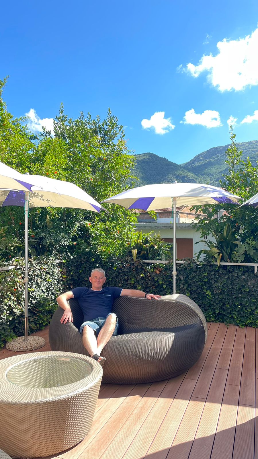 Фото Пальма