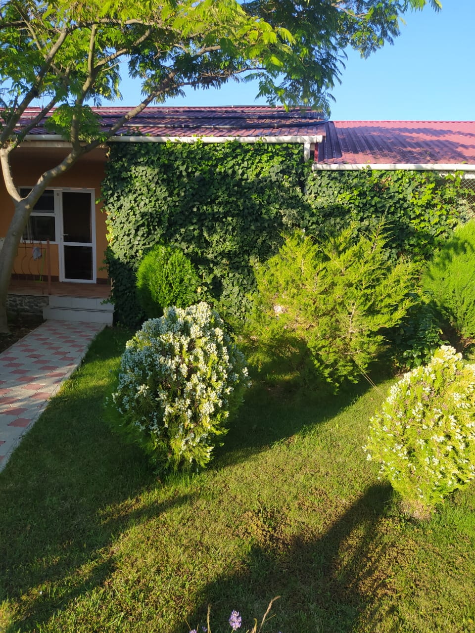 Фото Райский отдых