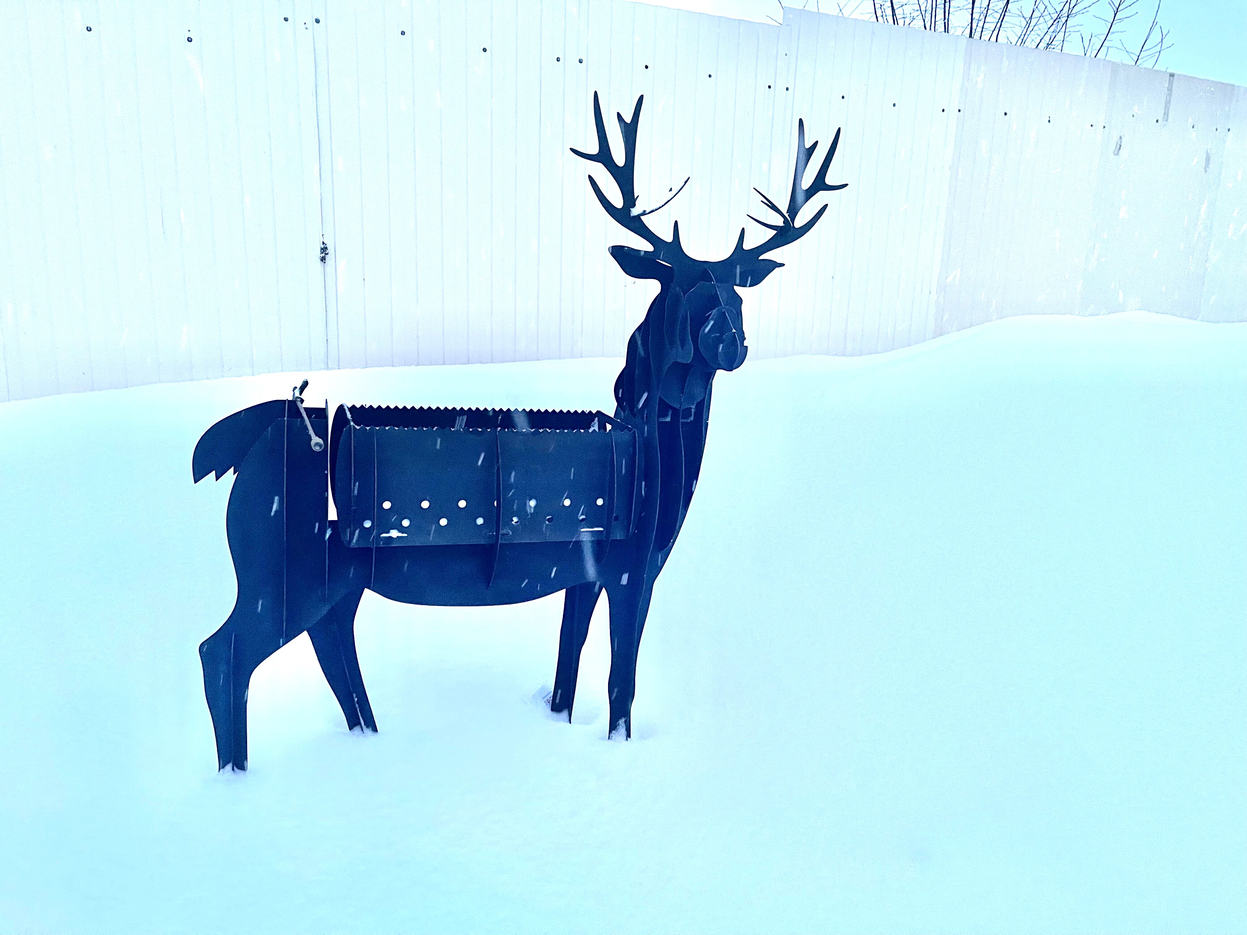 Фото Не тот лес