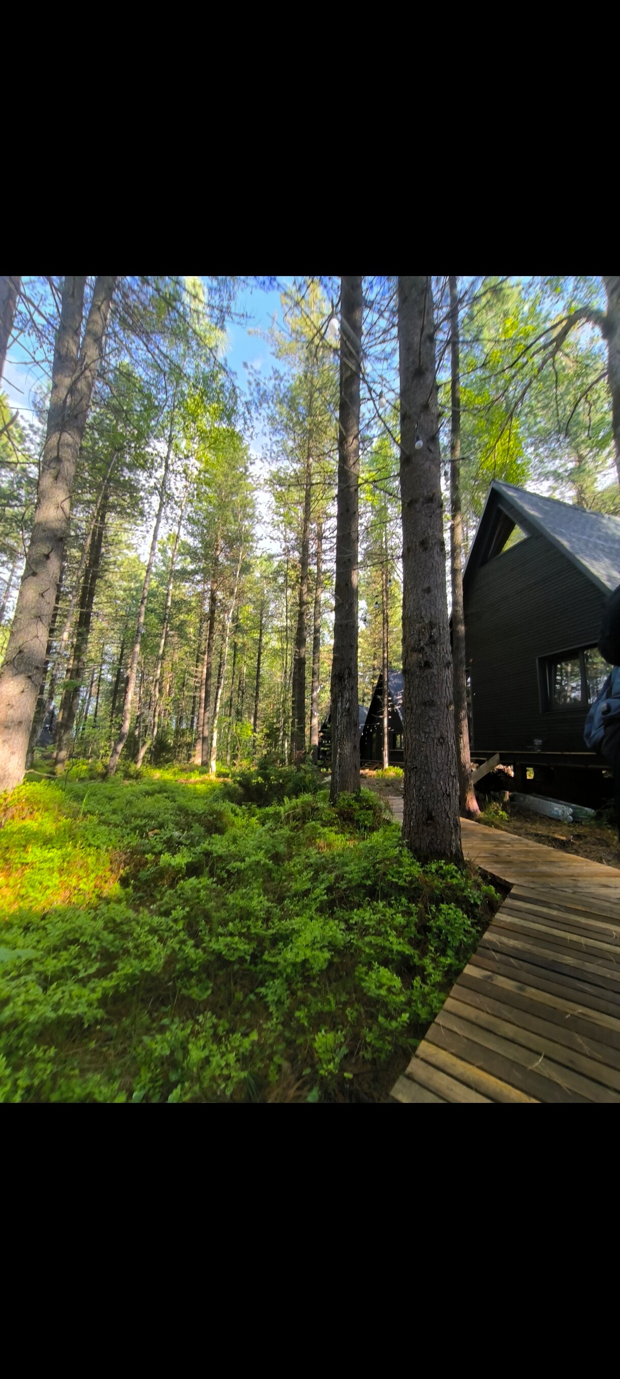 Фото Тэнгис