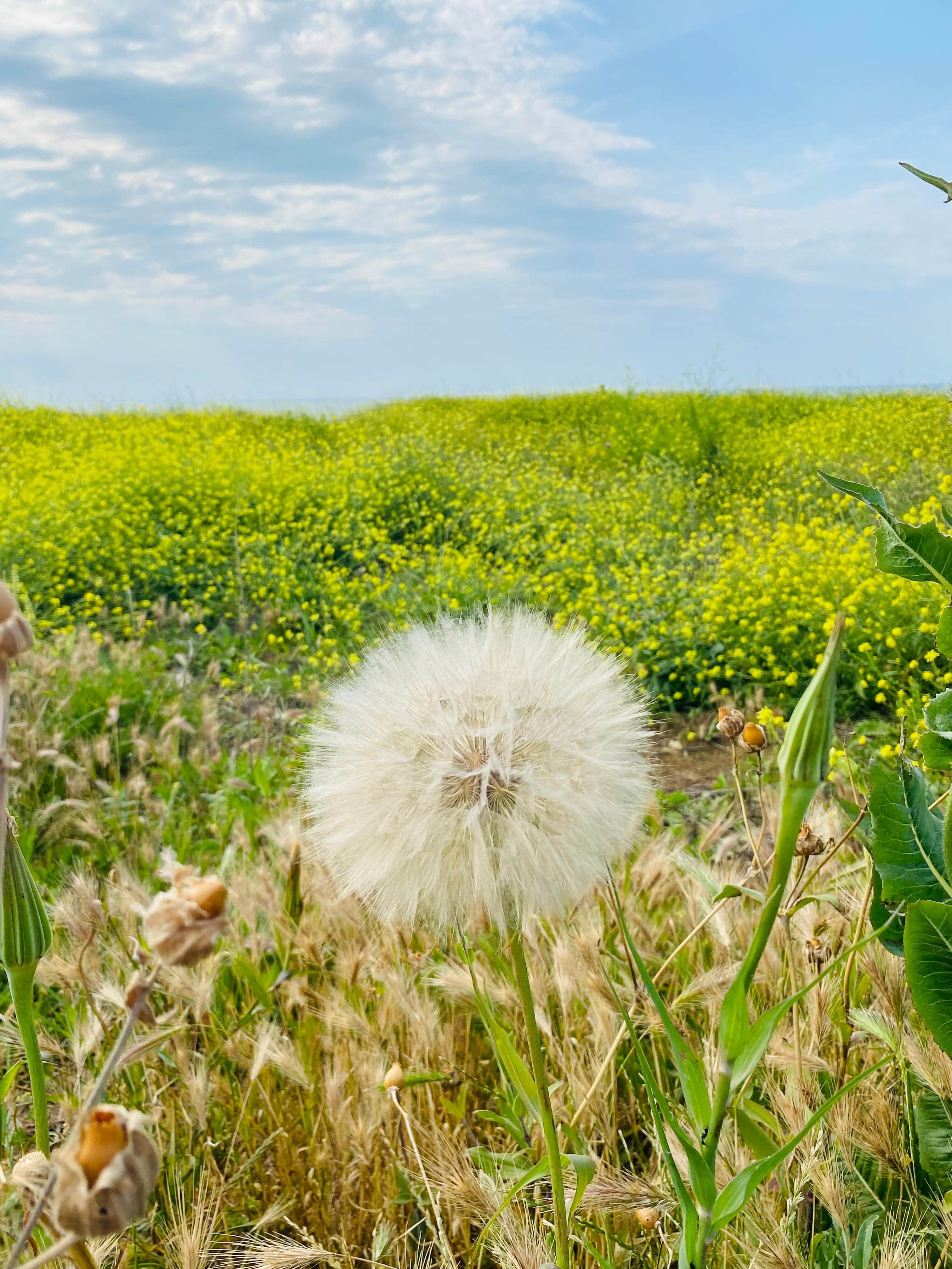 Фото Azov_lounge