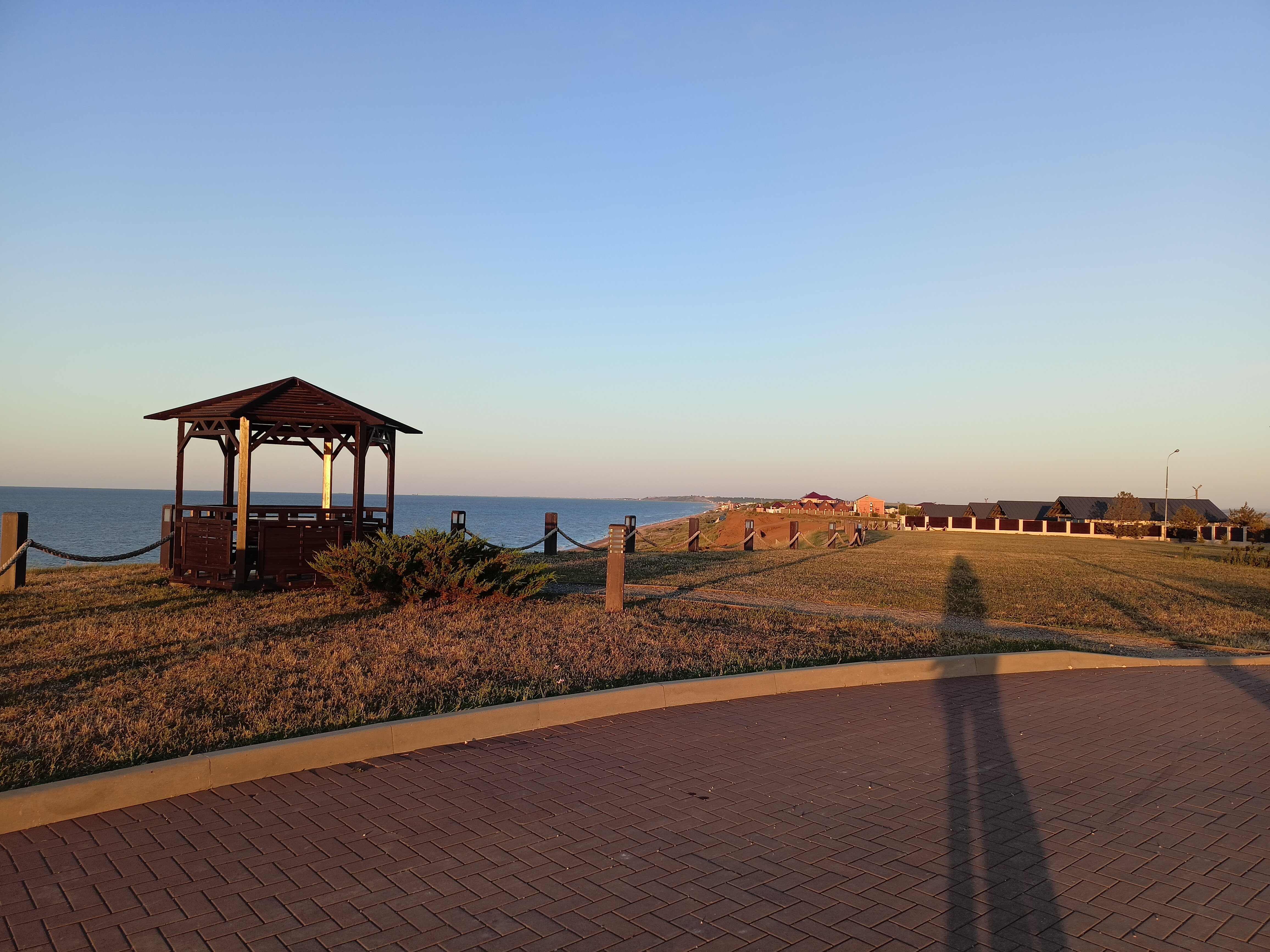 Фото Сафари