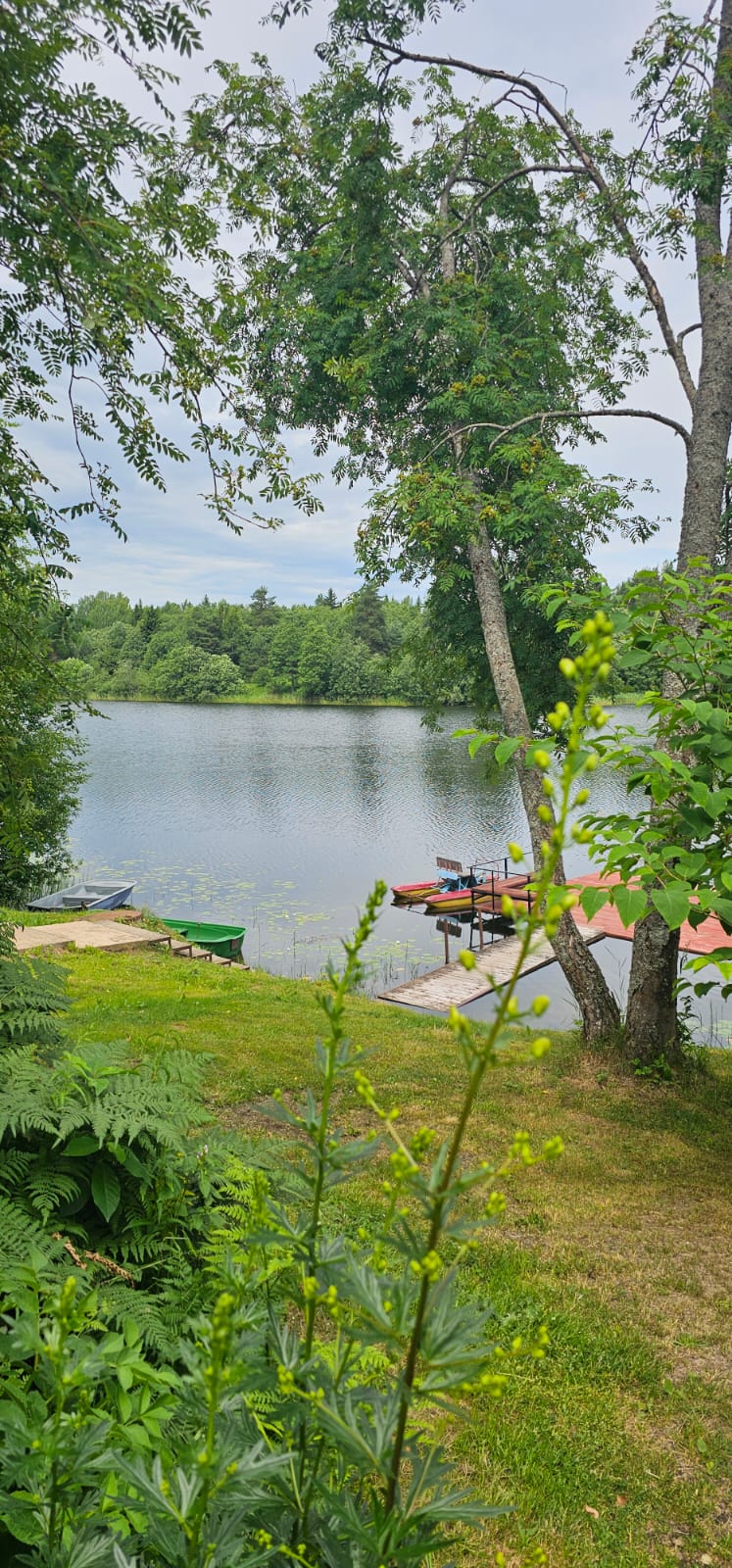 Фото На берегу