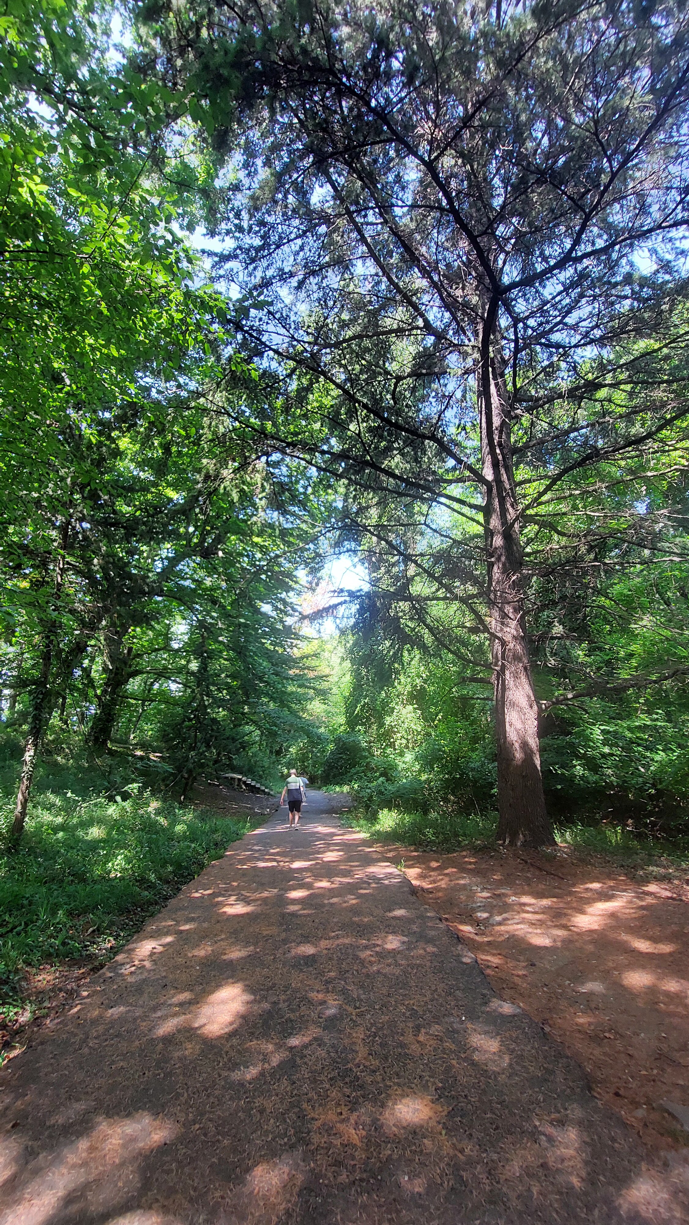 Фото Звезда