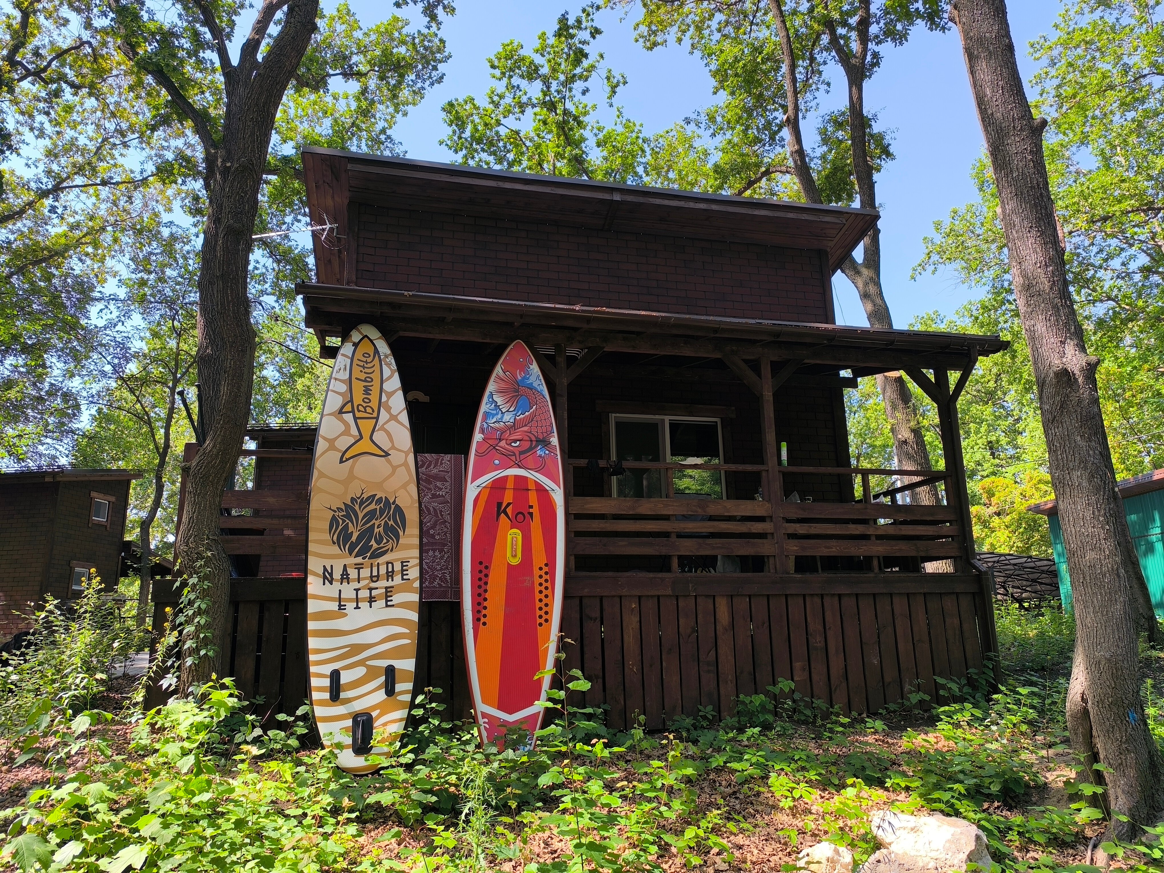 Фото Рассвет