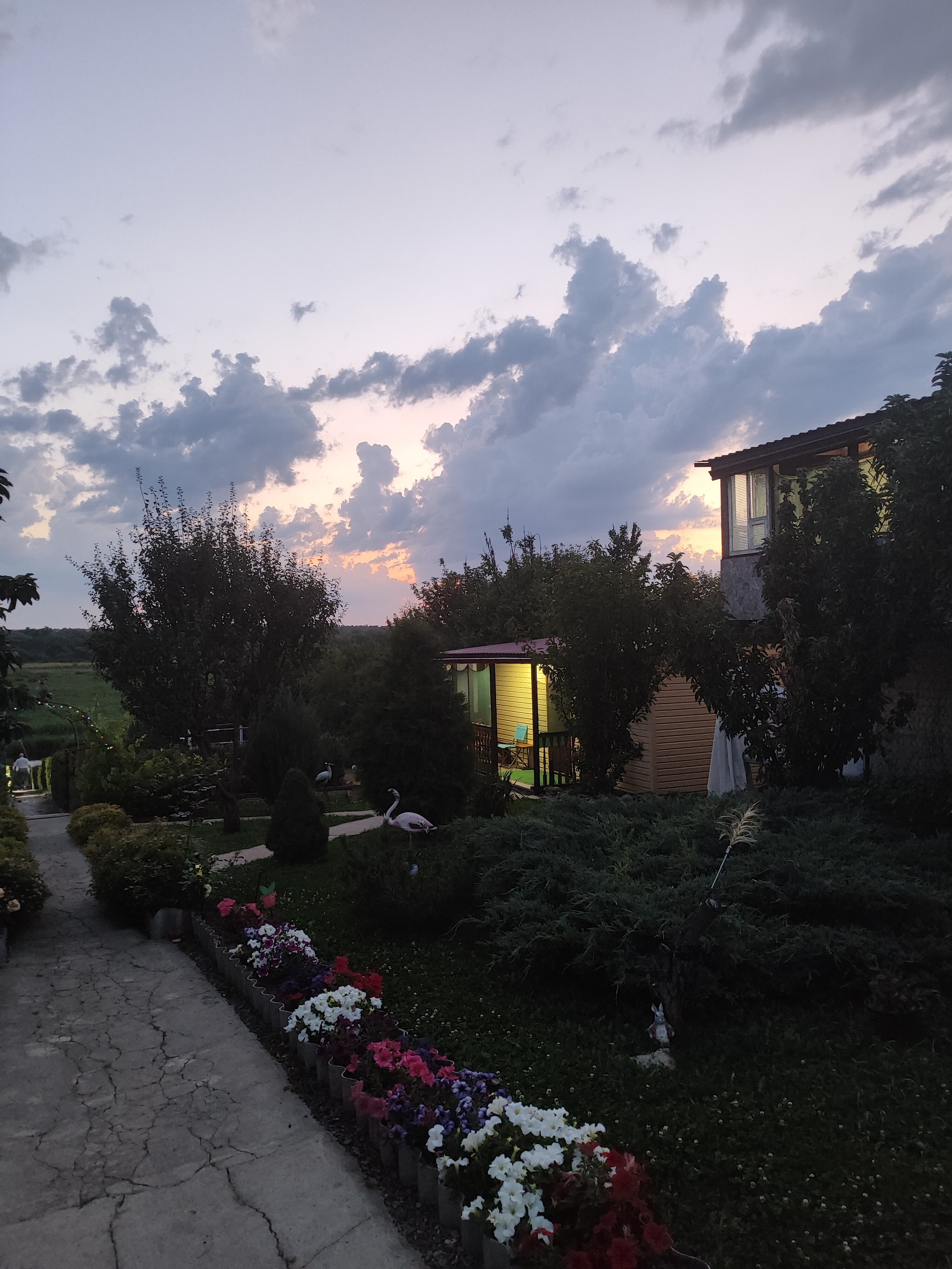 Фото Ивушка