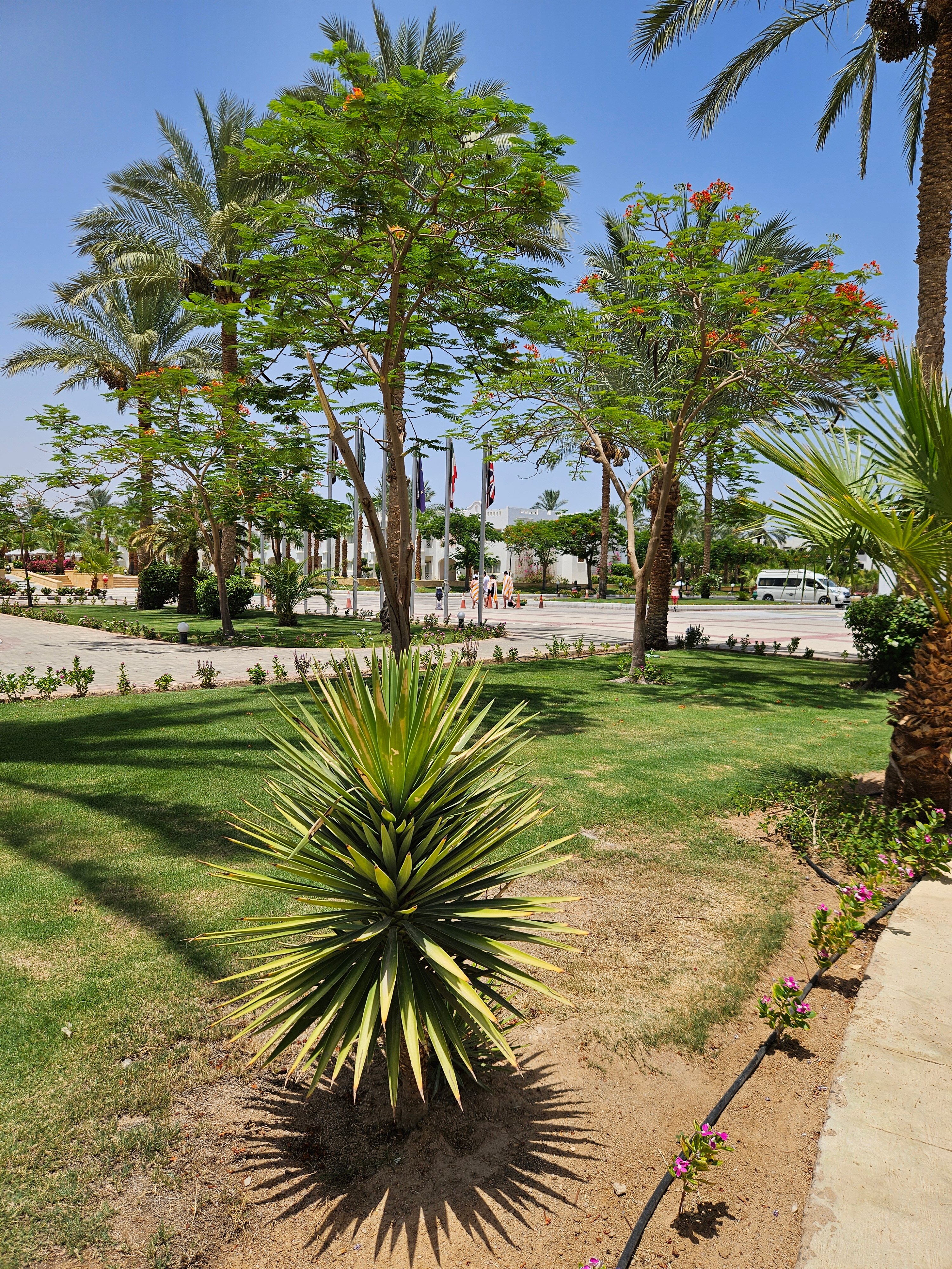 Фото Continental Plaza beach Resort