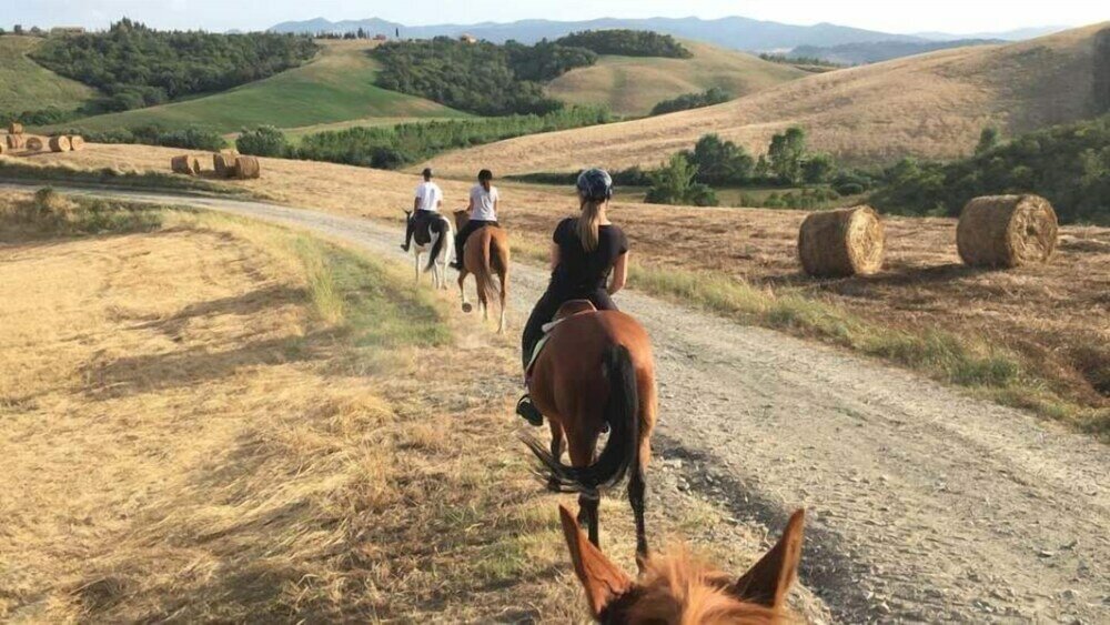 Фото Villa Tosca