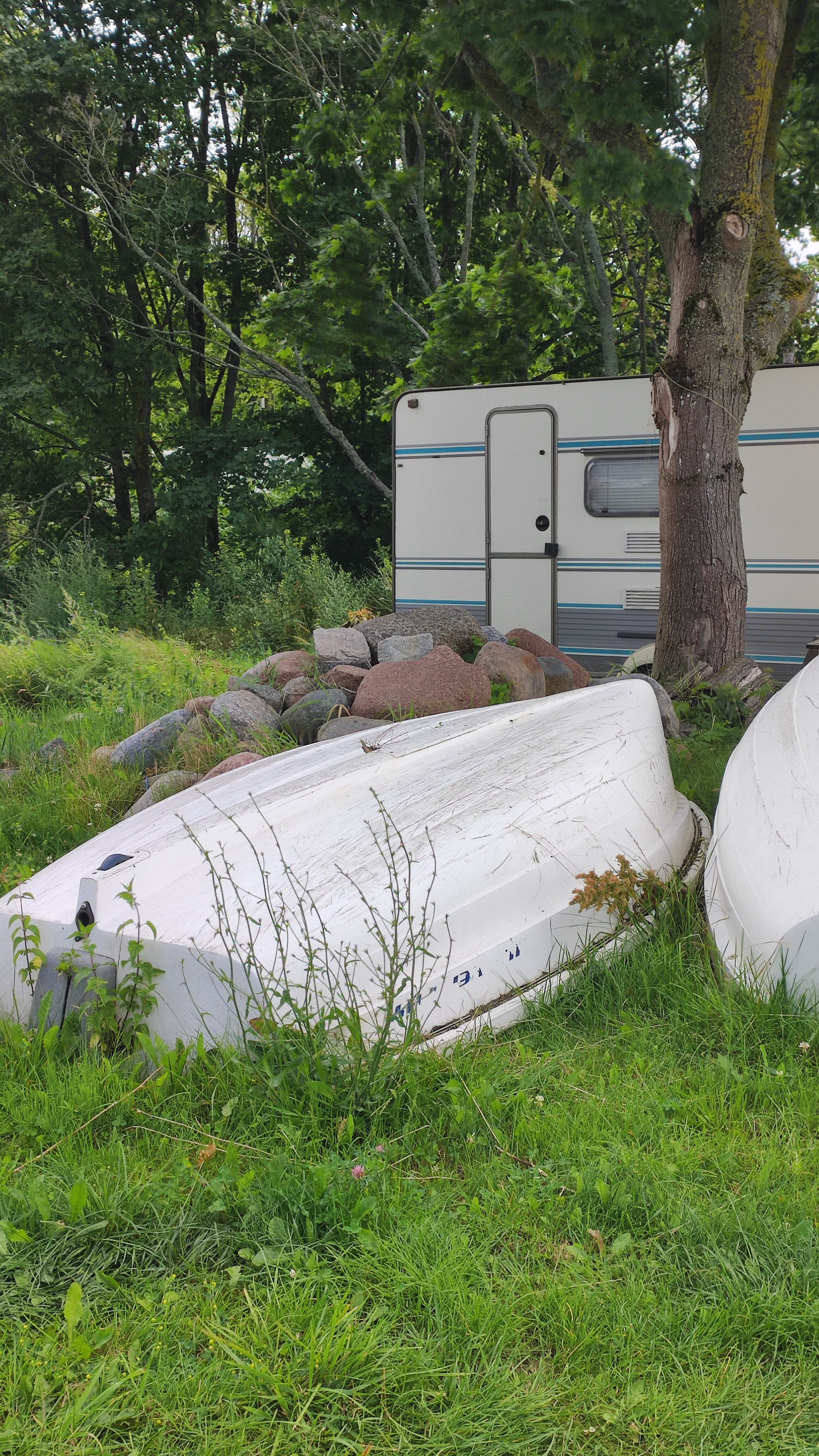 Фото Жемчужина