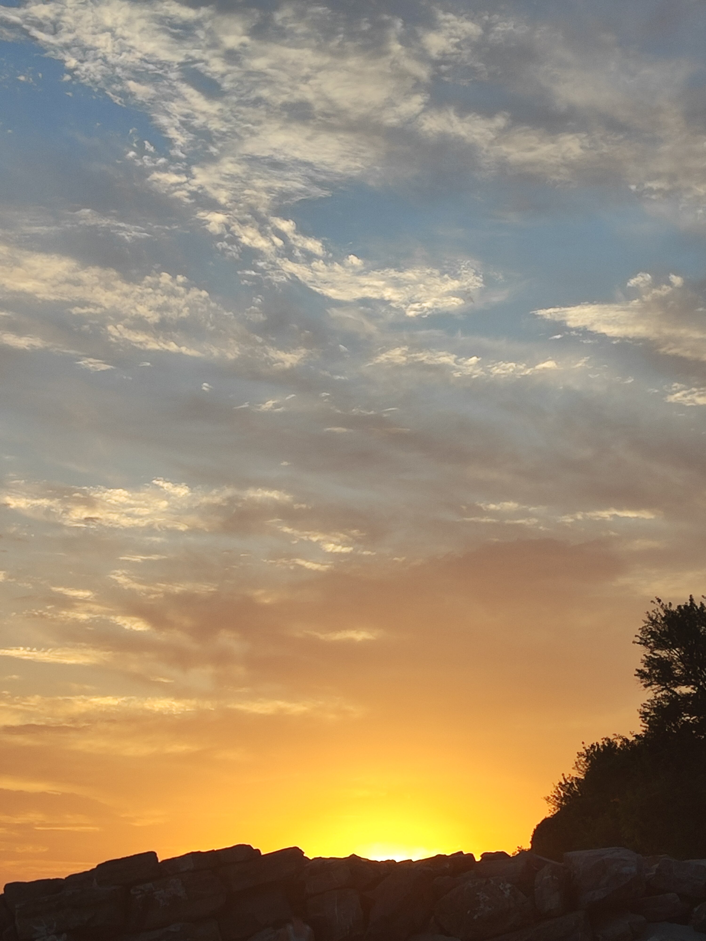 Фото Томичка