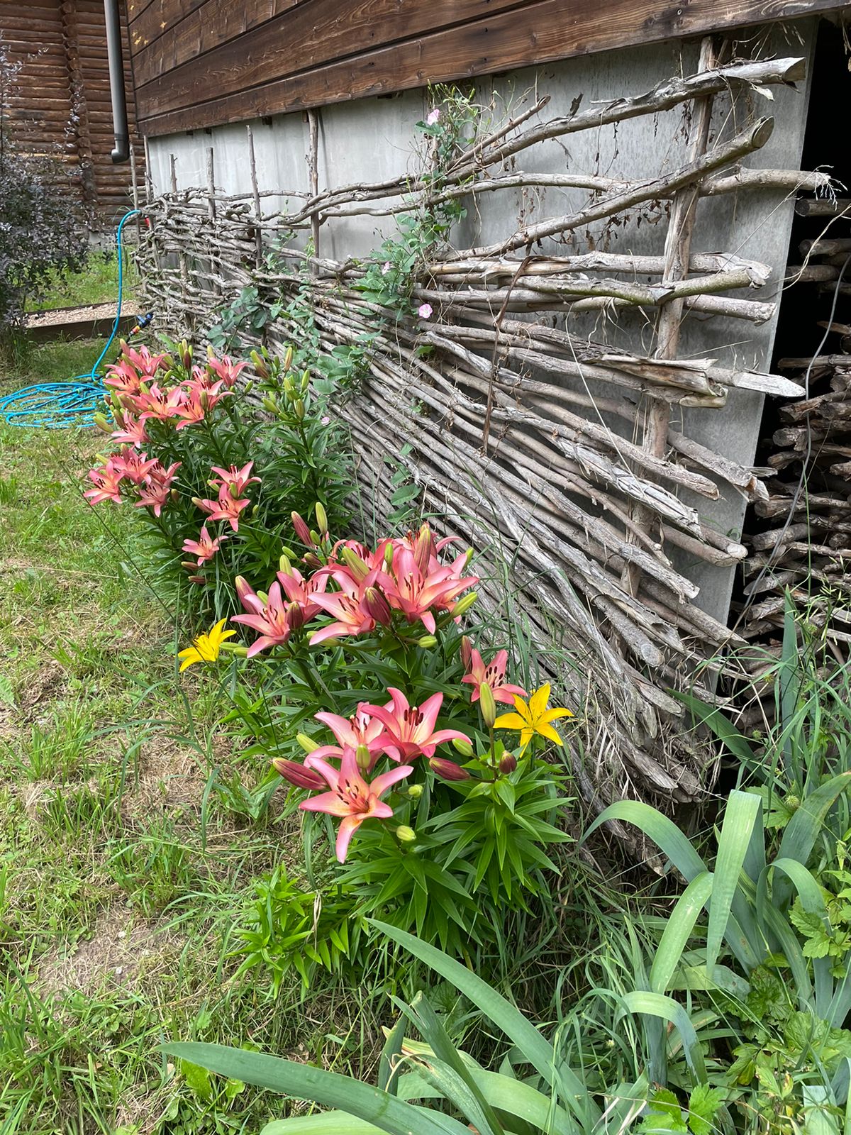 Фото Happy place