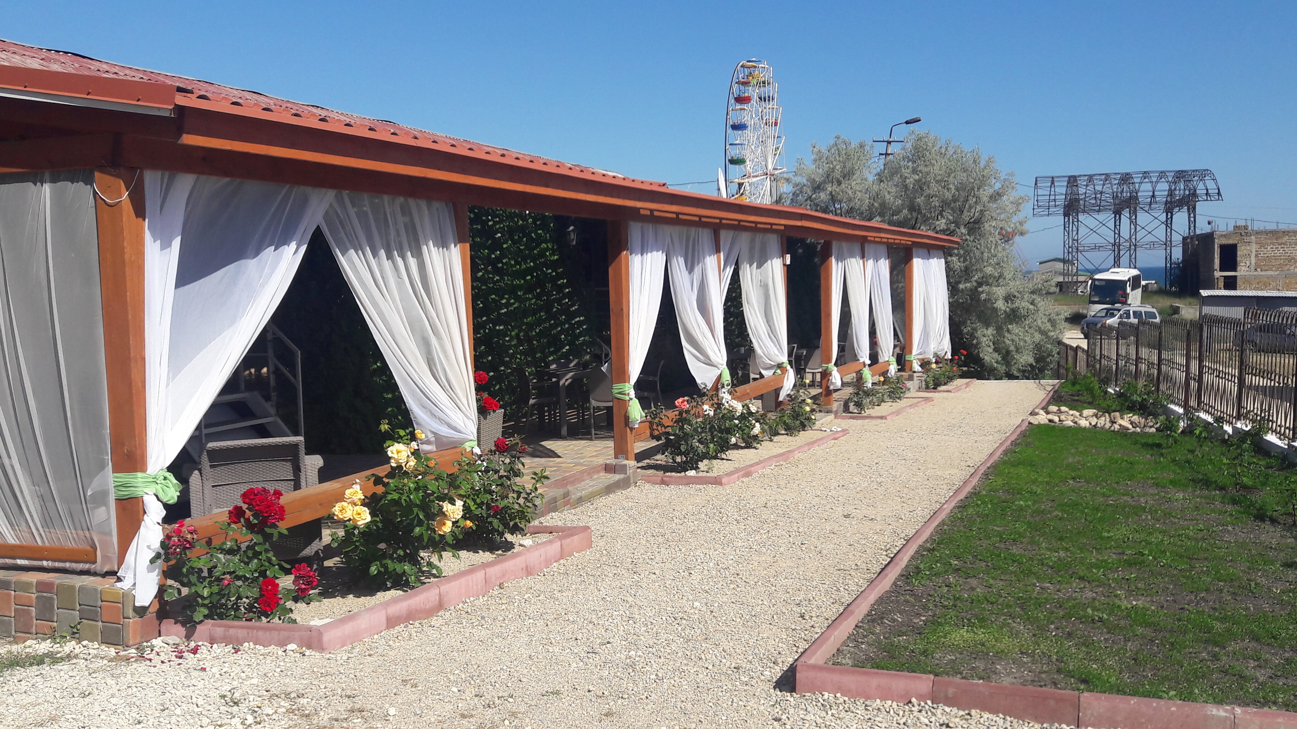 Фото Кактус