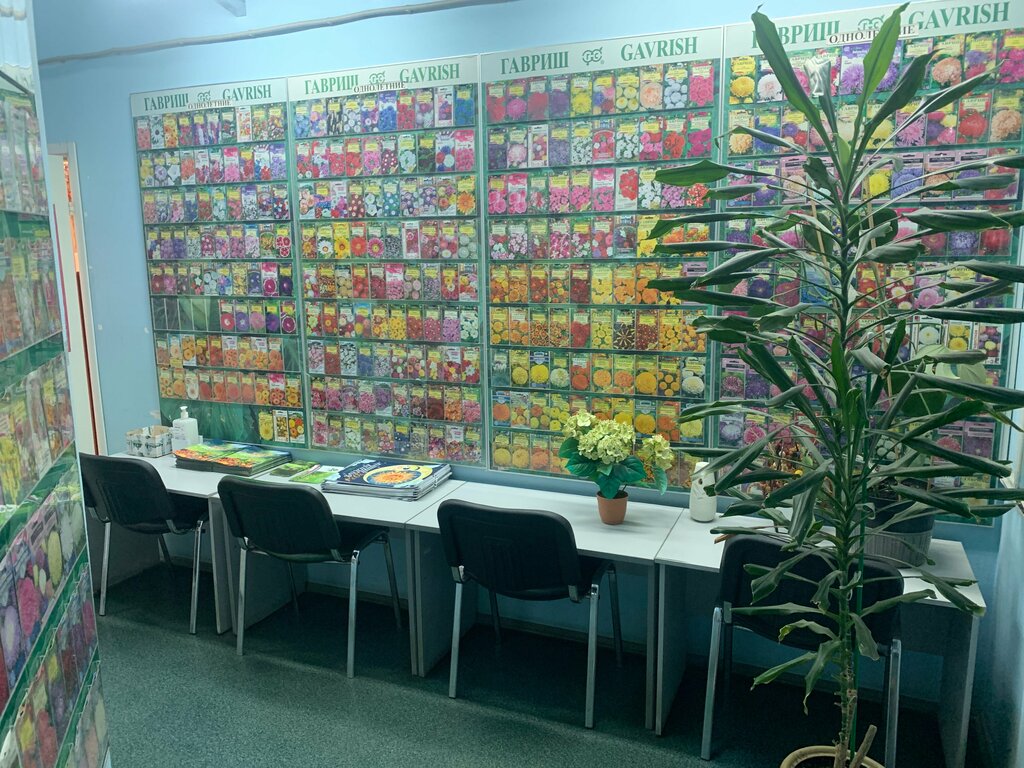 Breeding and seed production Gavrish, Moscow, photo