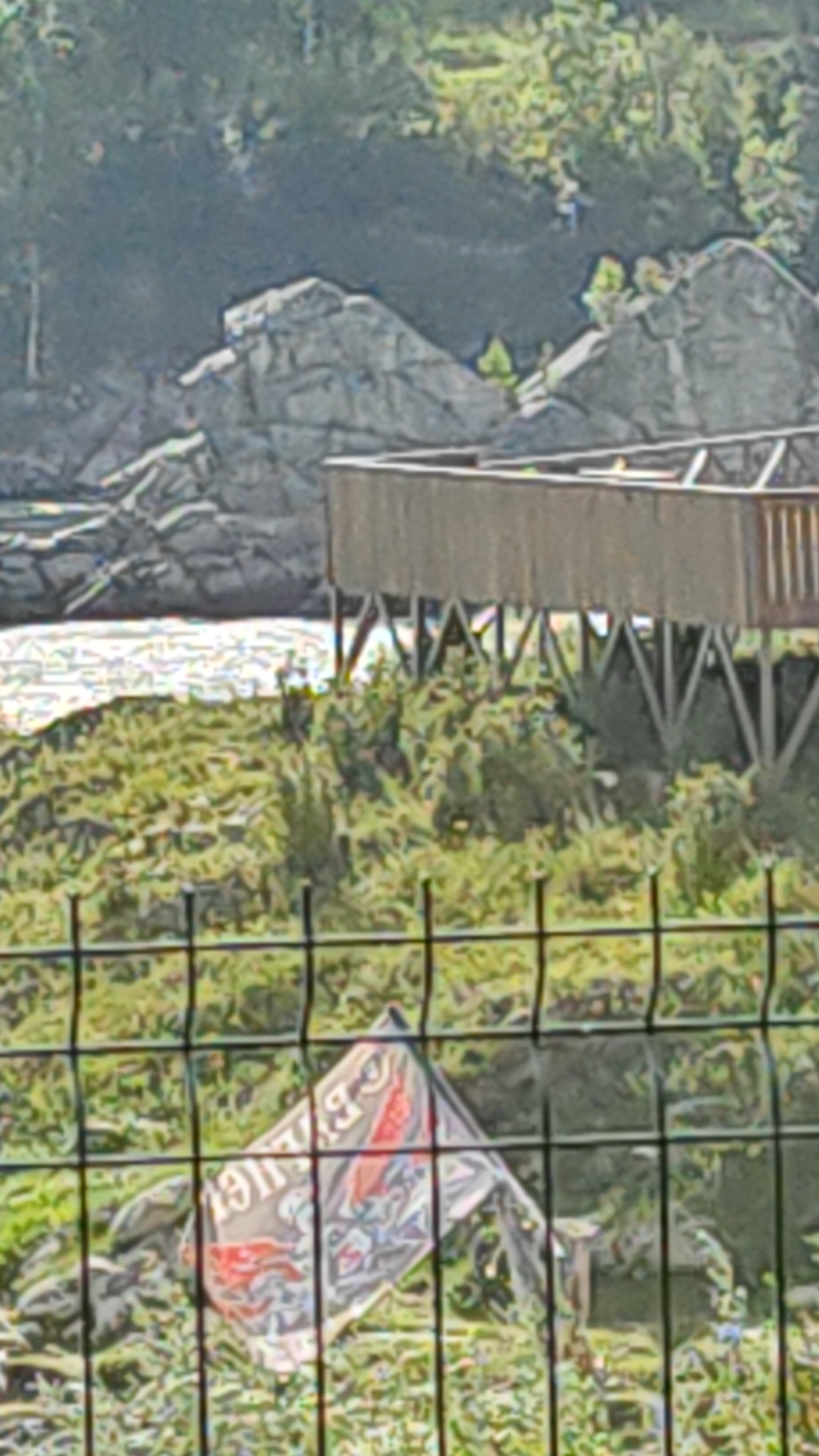 Фото Зубы Дракона