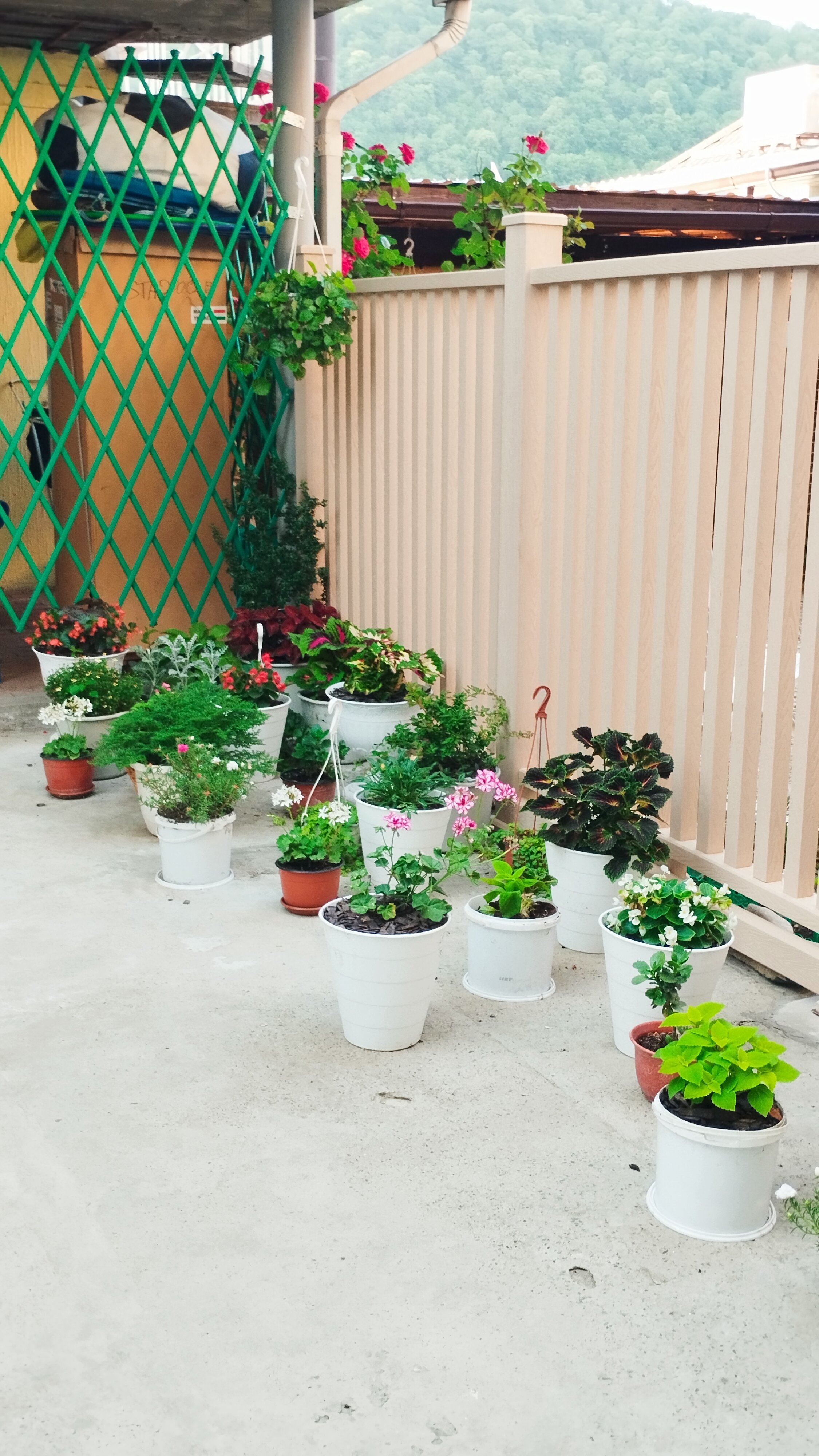 Фото Гостевой дом Аруна