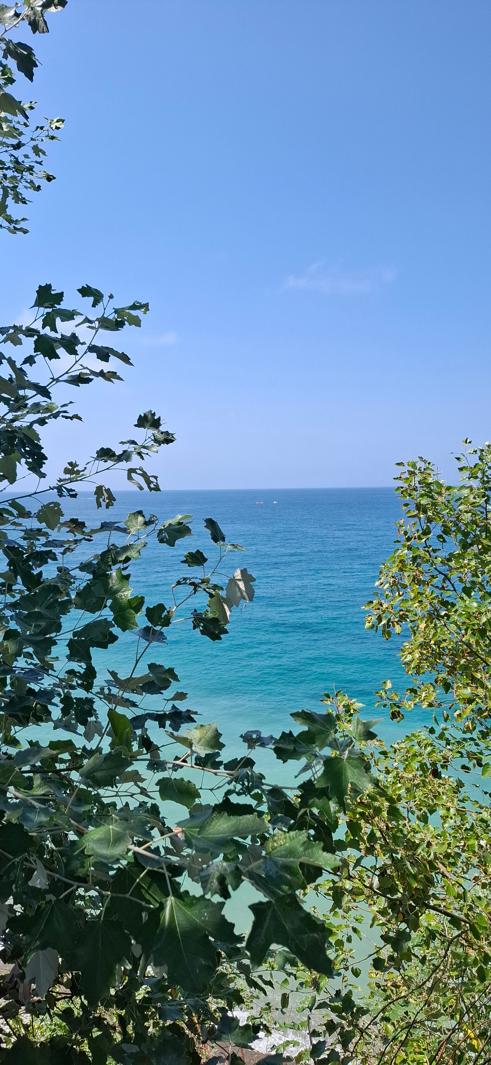 Фото Мотель У Заура