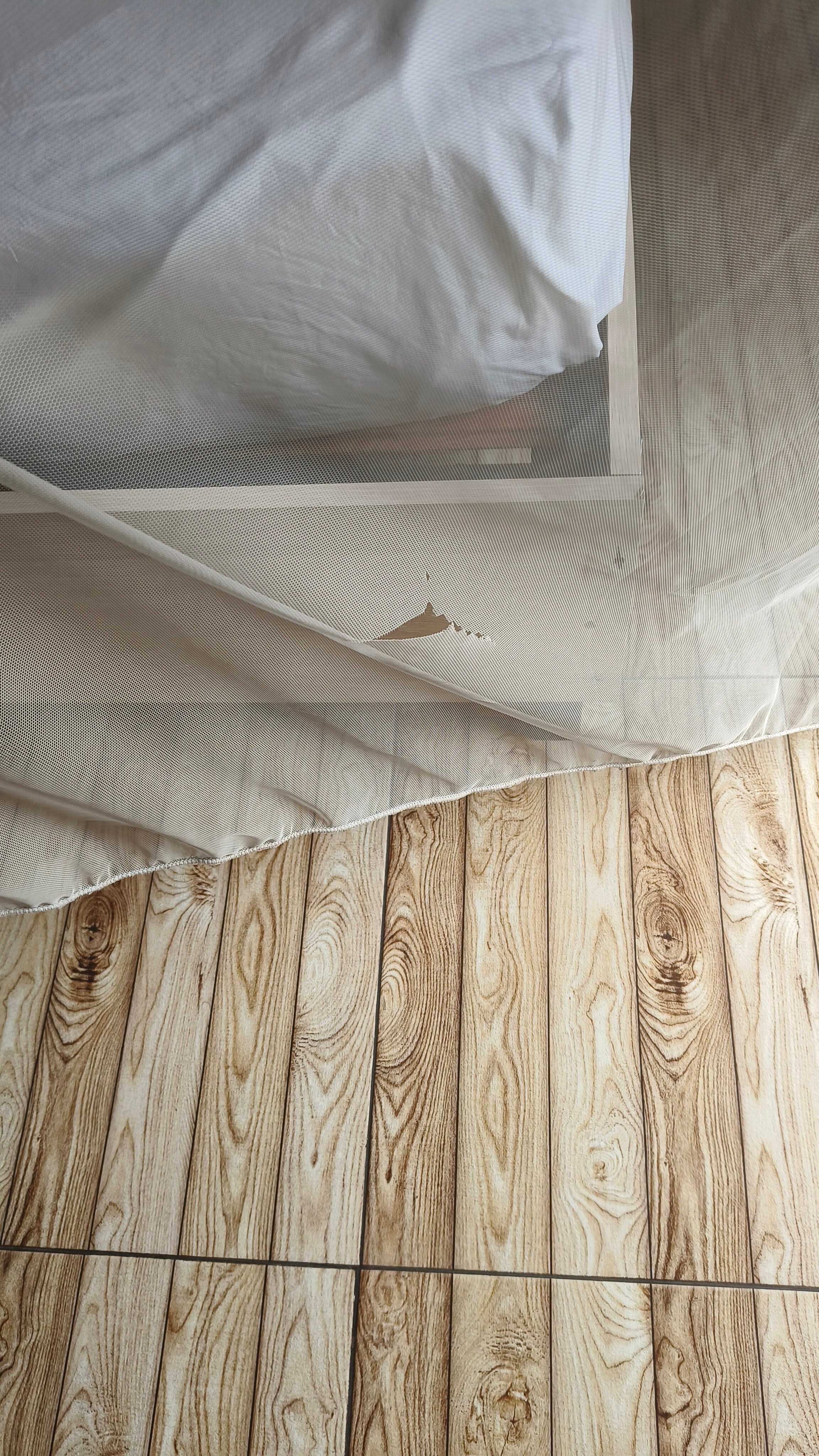 Фото Hotel Elio Inn