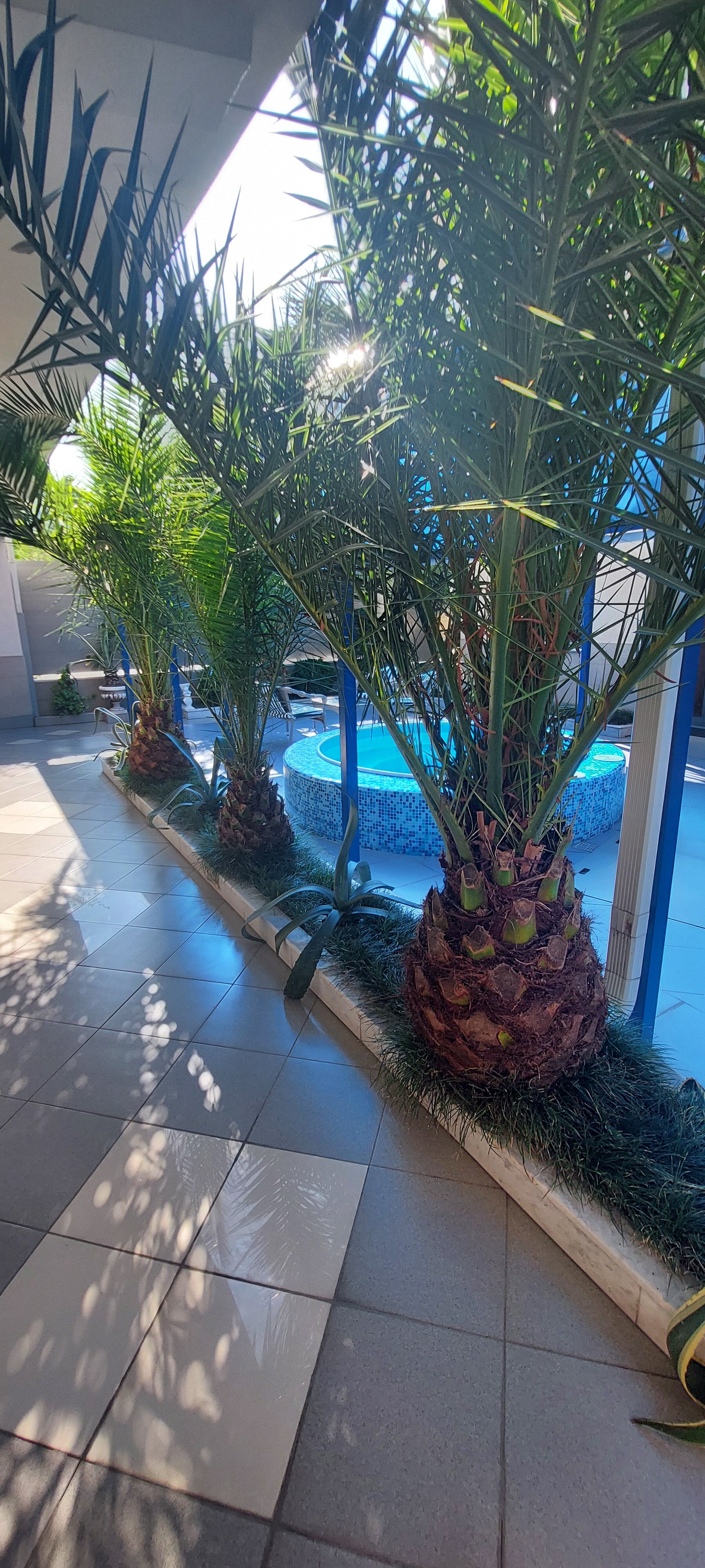 Фото Маретель