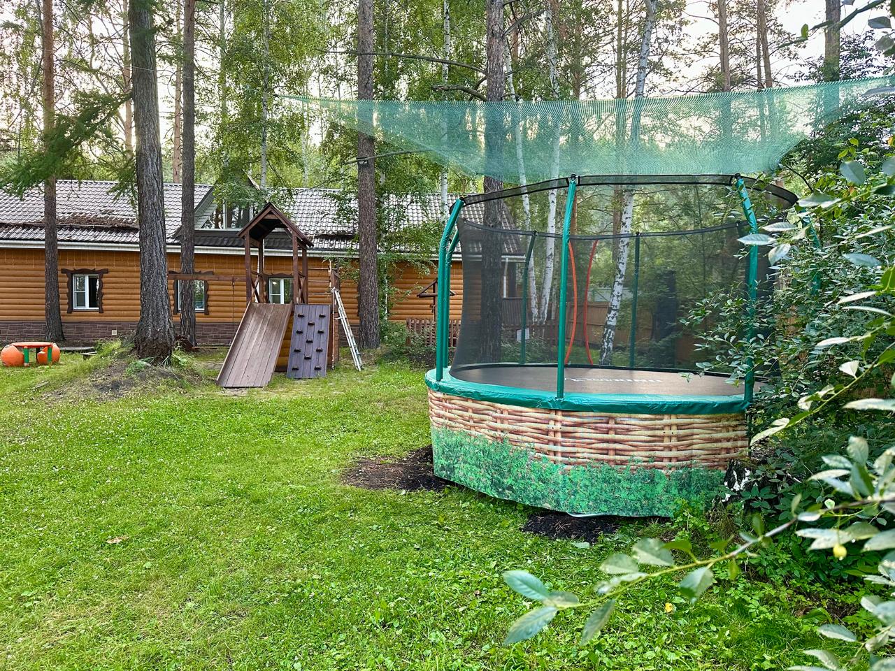 Фото Сосны-Лес