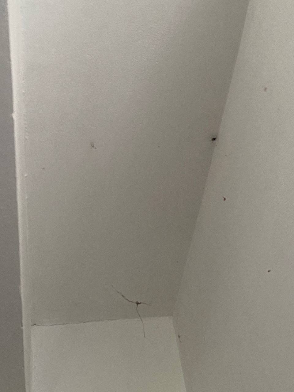 Фото Найман