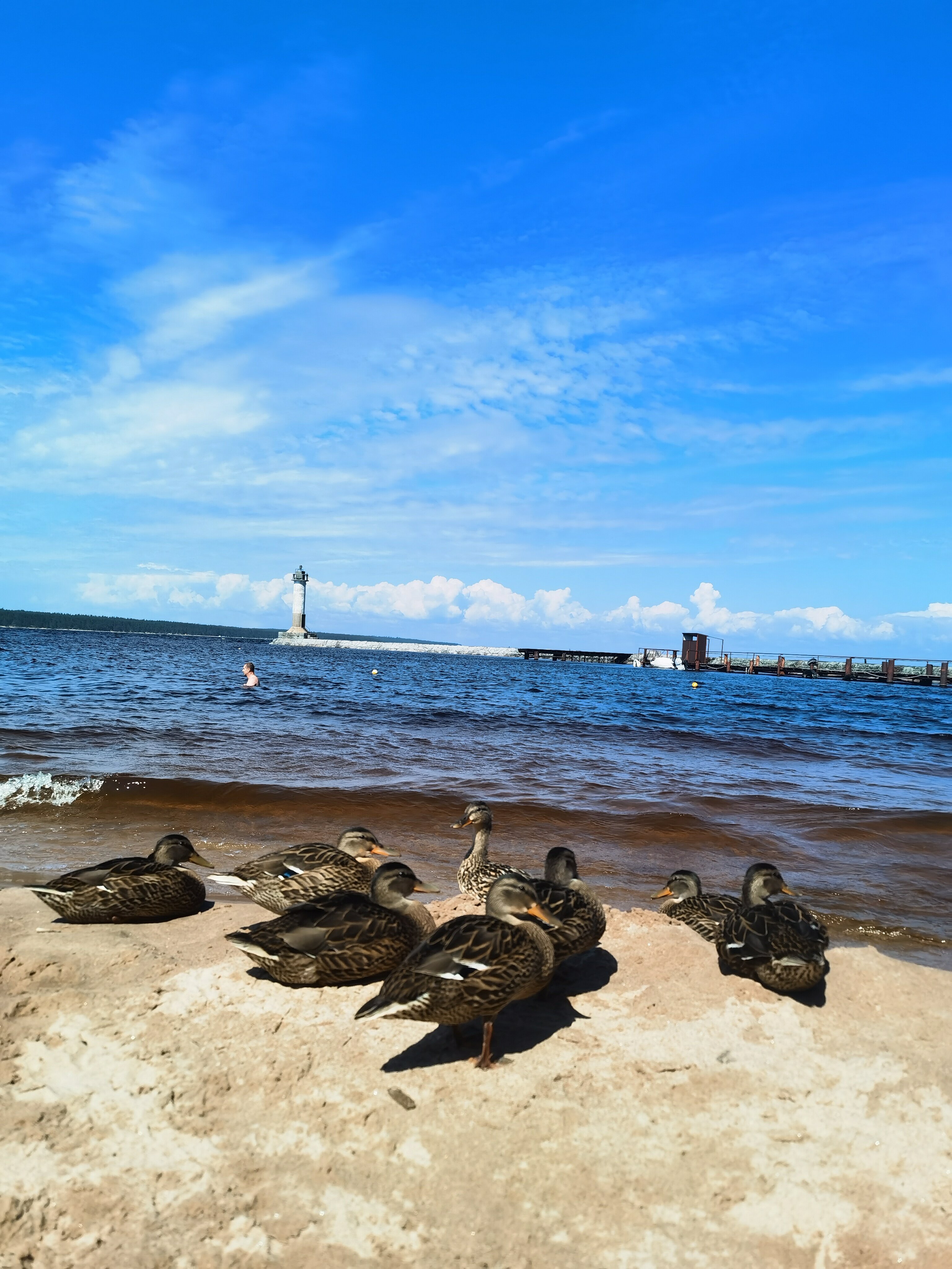 Фото Парк-отель Капитан Морган