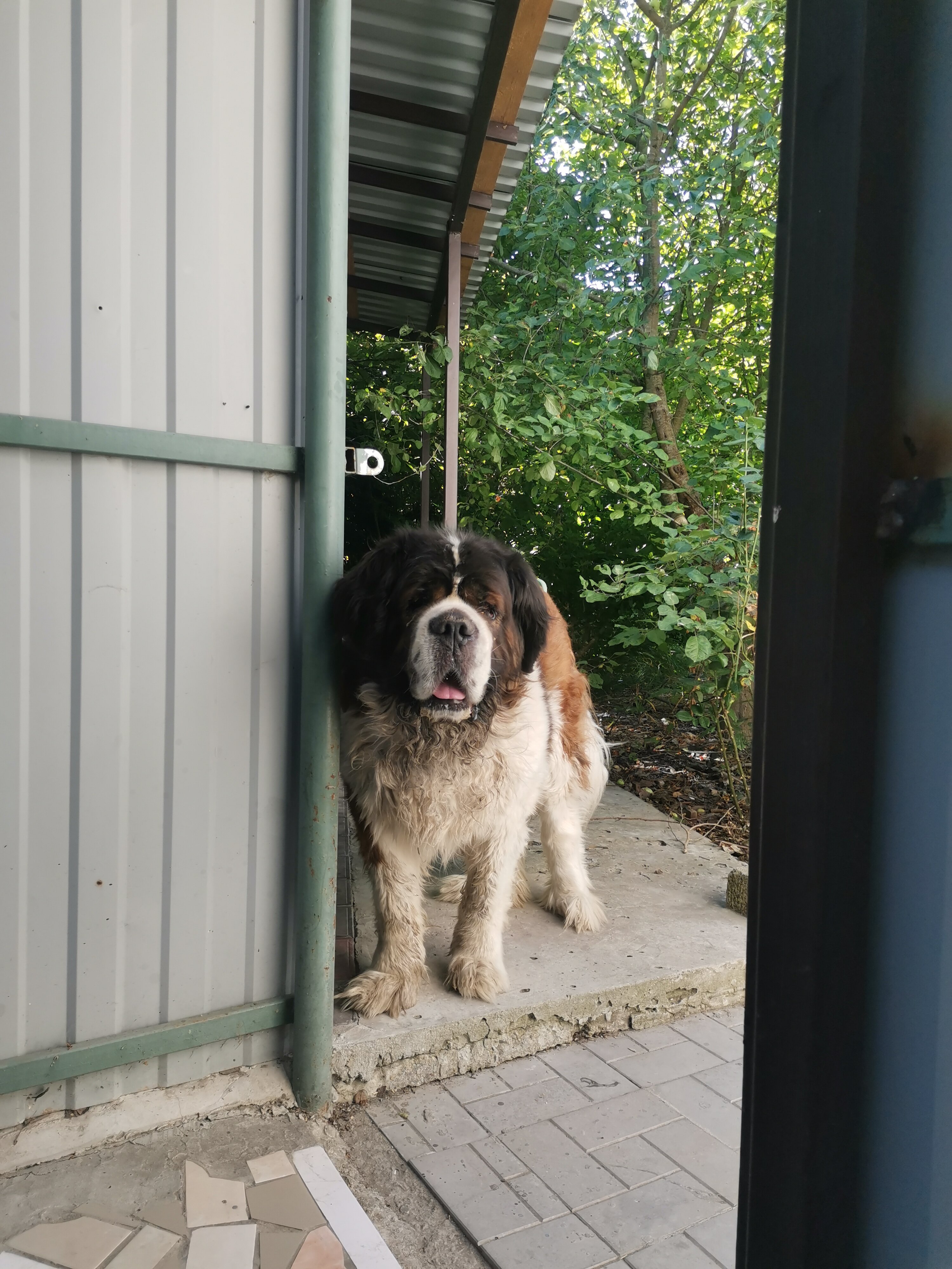 Фото Forest Club