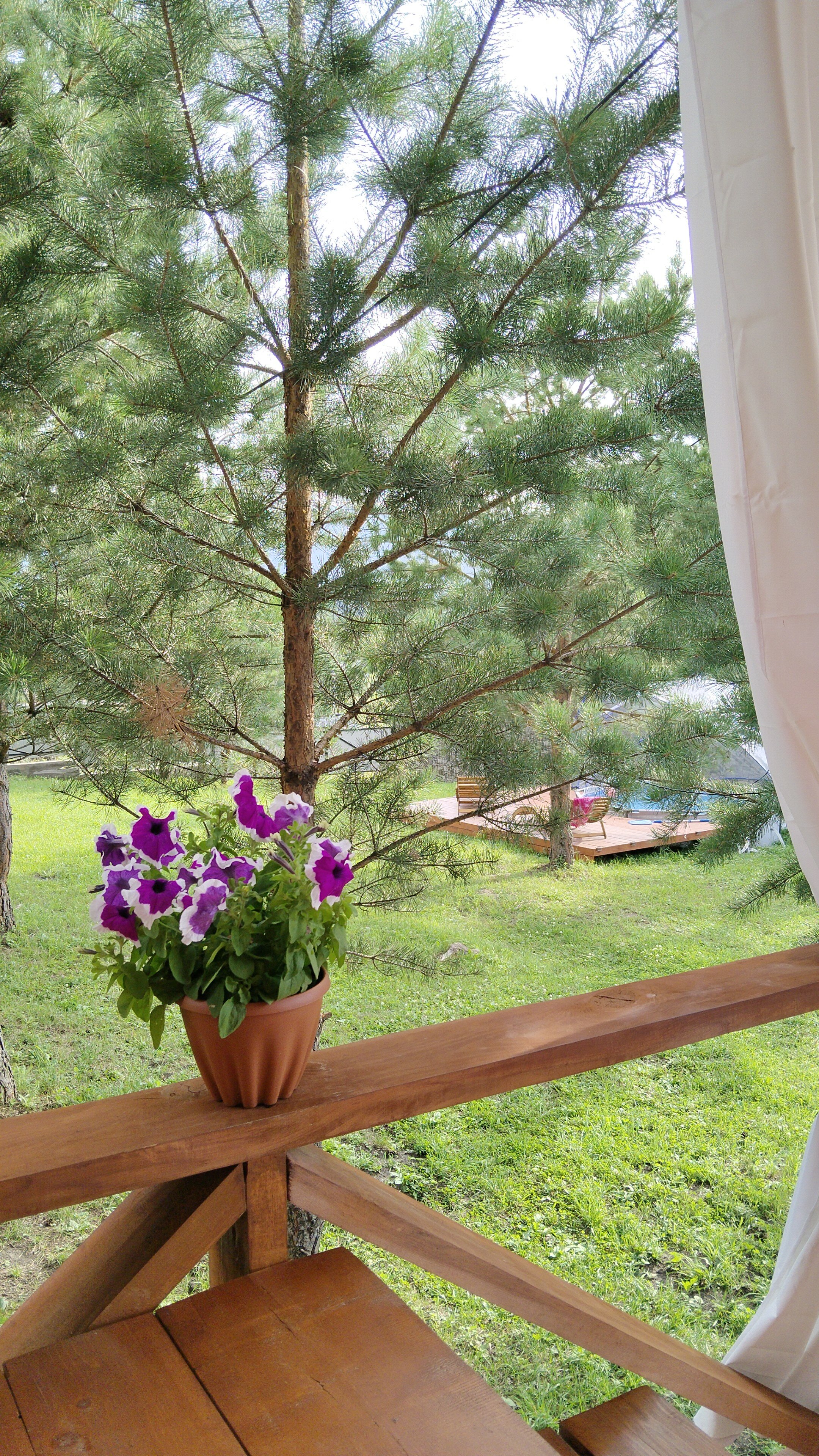 Фото Горная вершина