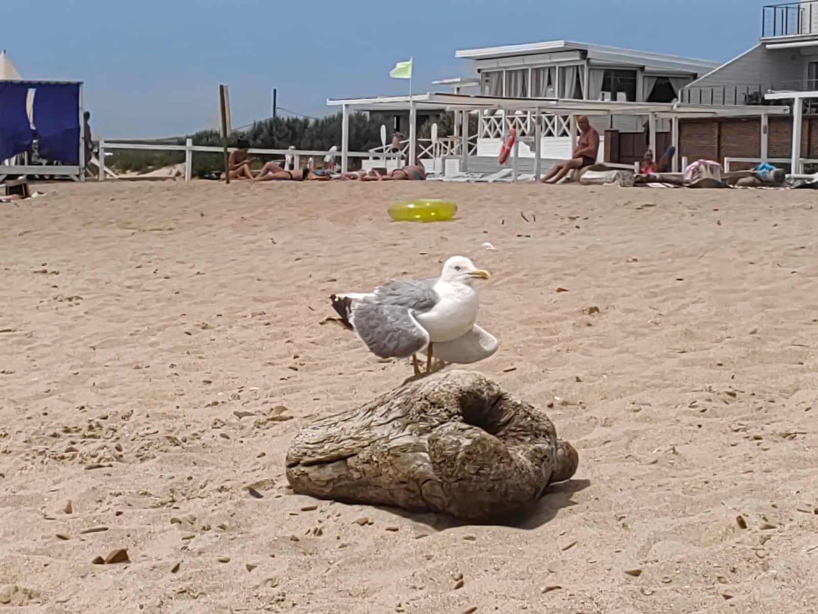 Фото Берлога