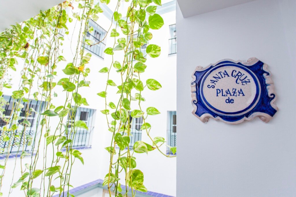 Фото Apartamentos Suites Santa Cruz