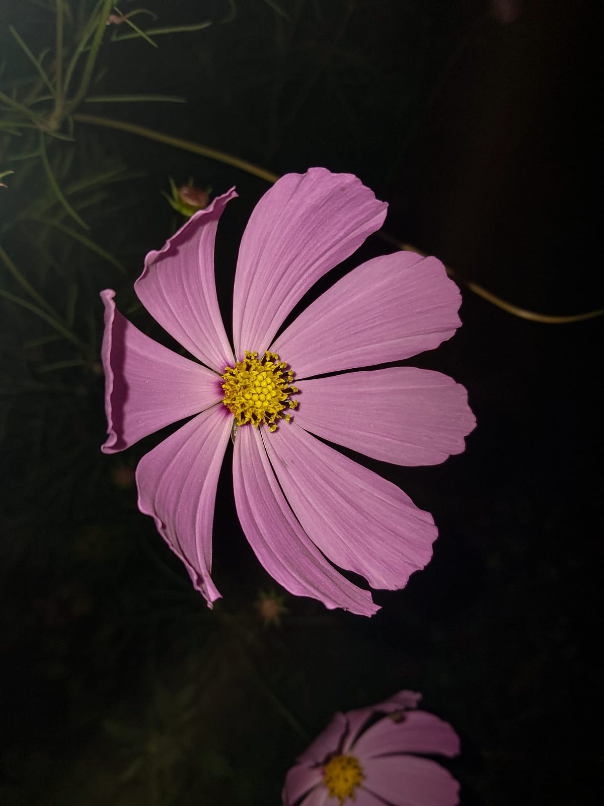 Фото Dombay family