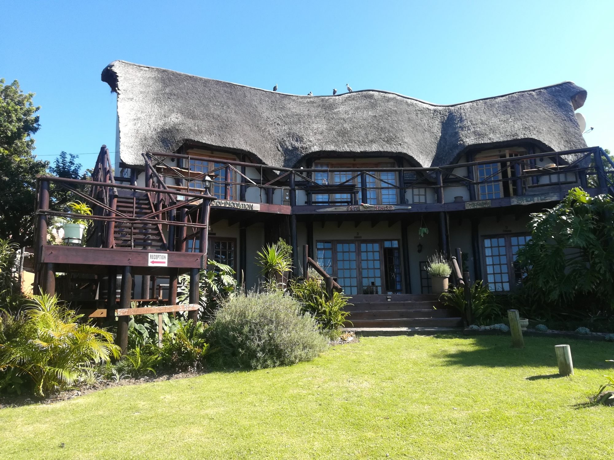 Фото The Birdhouse