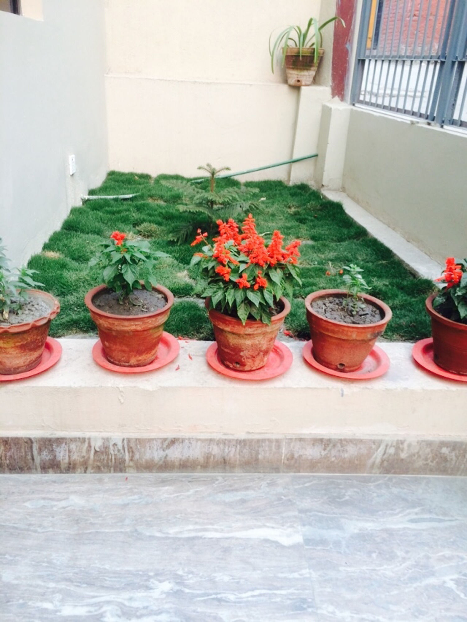 Фото Kathmandu Sunny Hotel