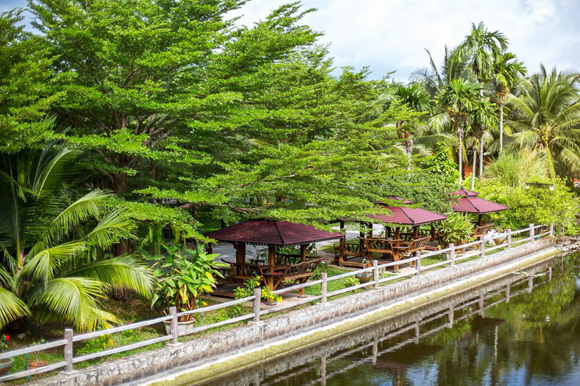 Фото Coconut Resort