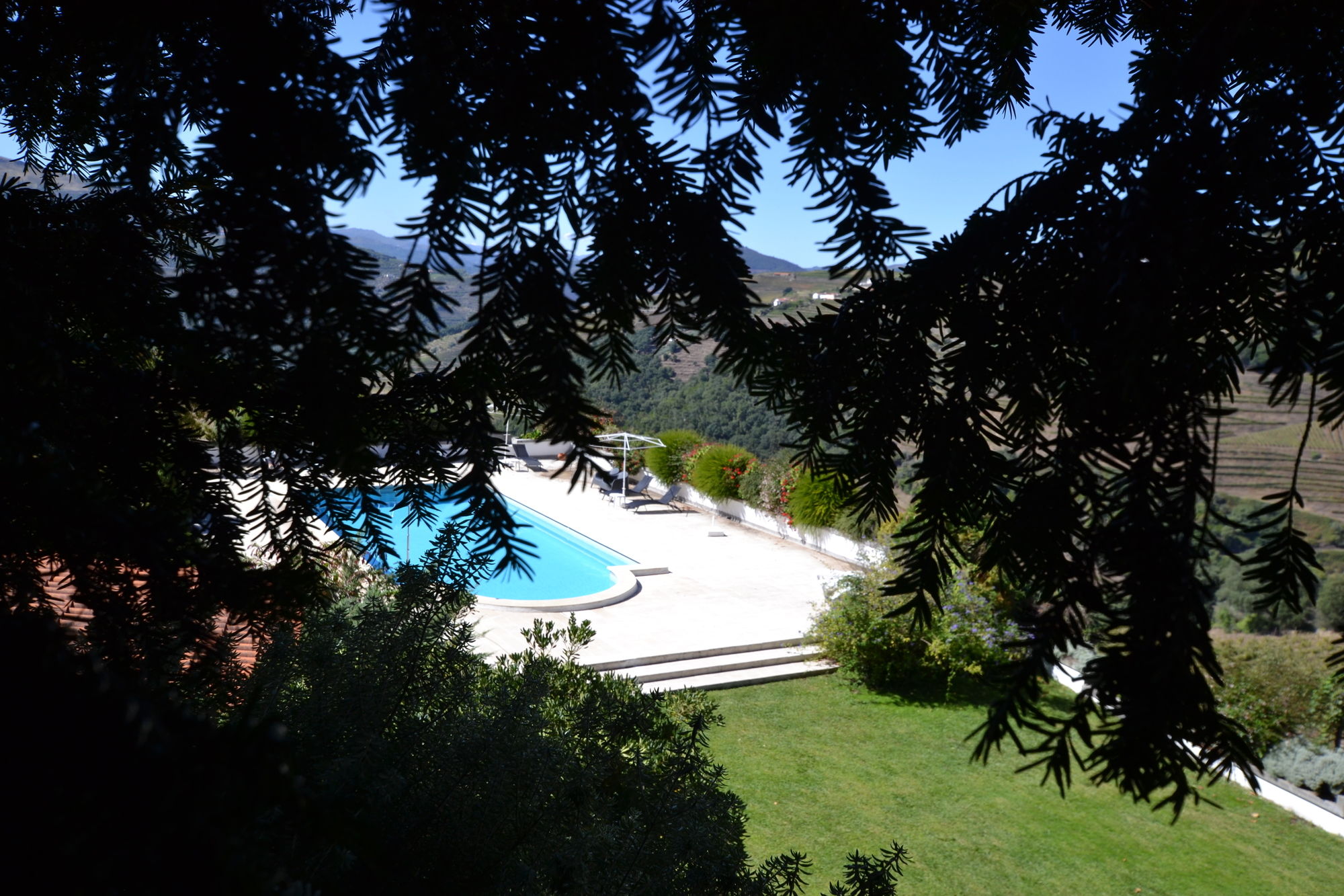 Фото Casa das Torres de Oliveira