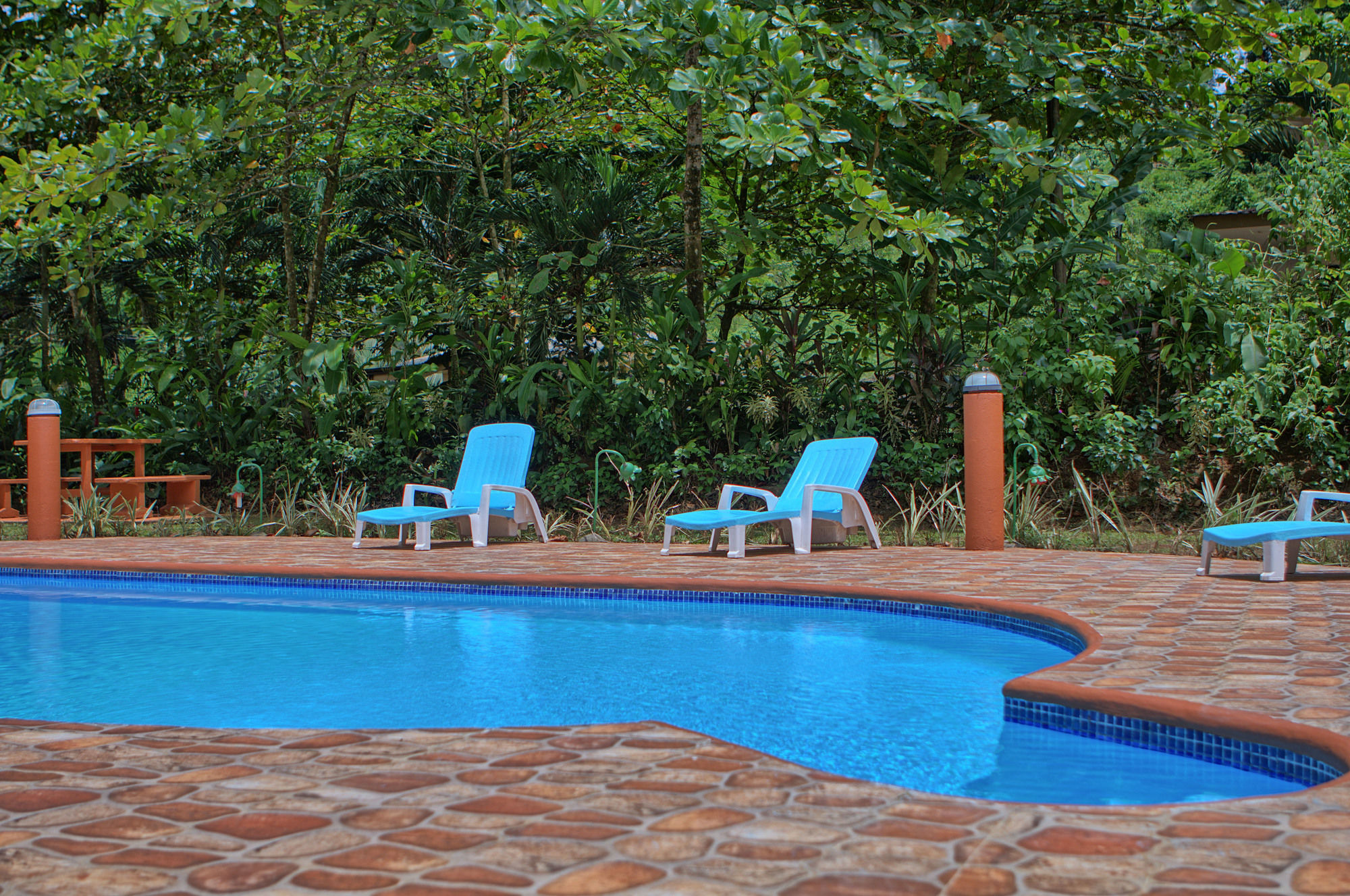 Фото Ara Ambigua Lodge