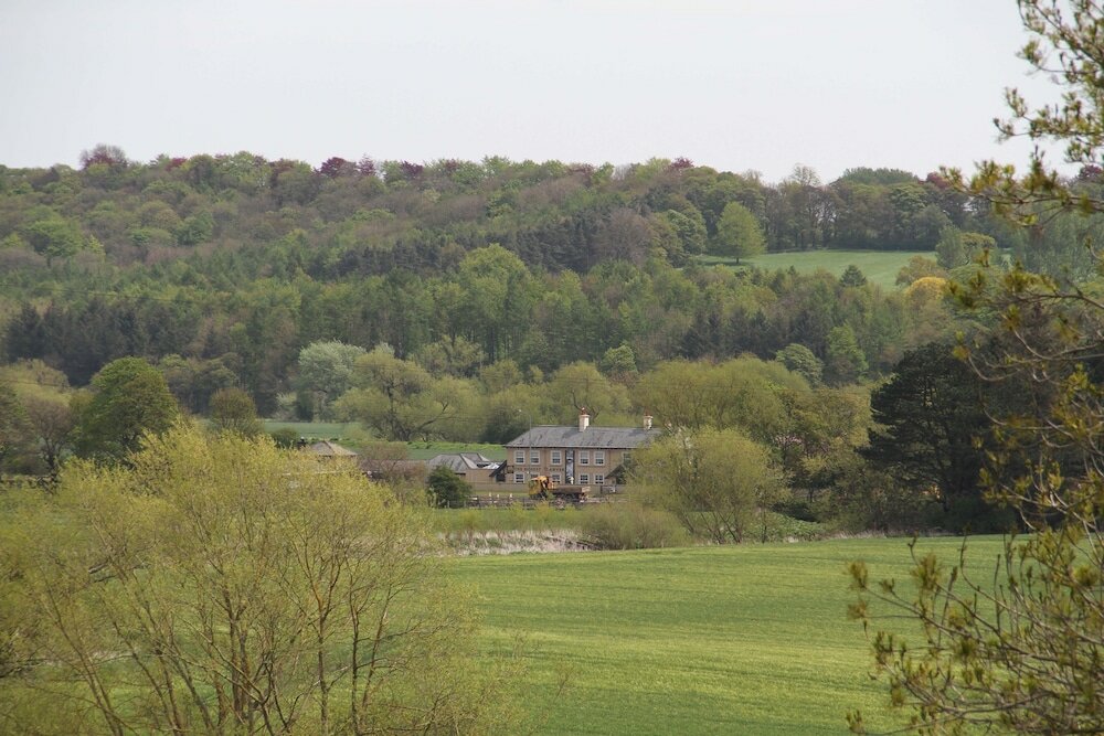 Фото Honest Lawyer Hotel