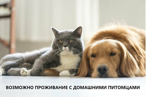 Диван-Кровать  фото 8