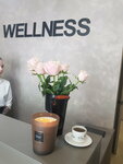 Wellness (Sevastopolskaya ulitsa, 33Б), salón de masaje