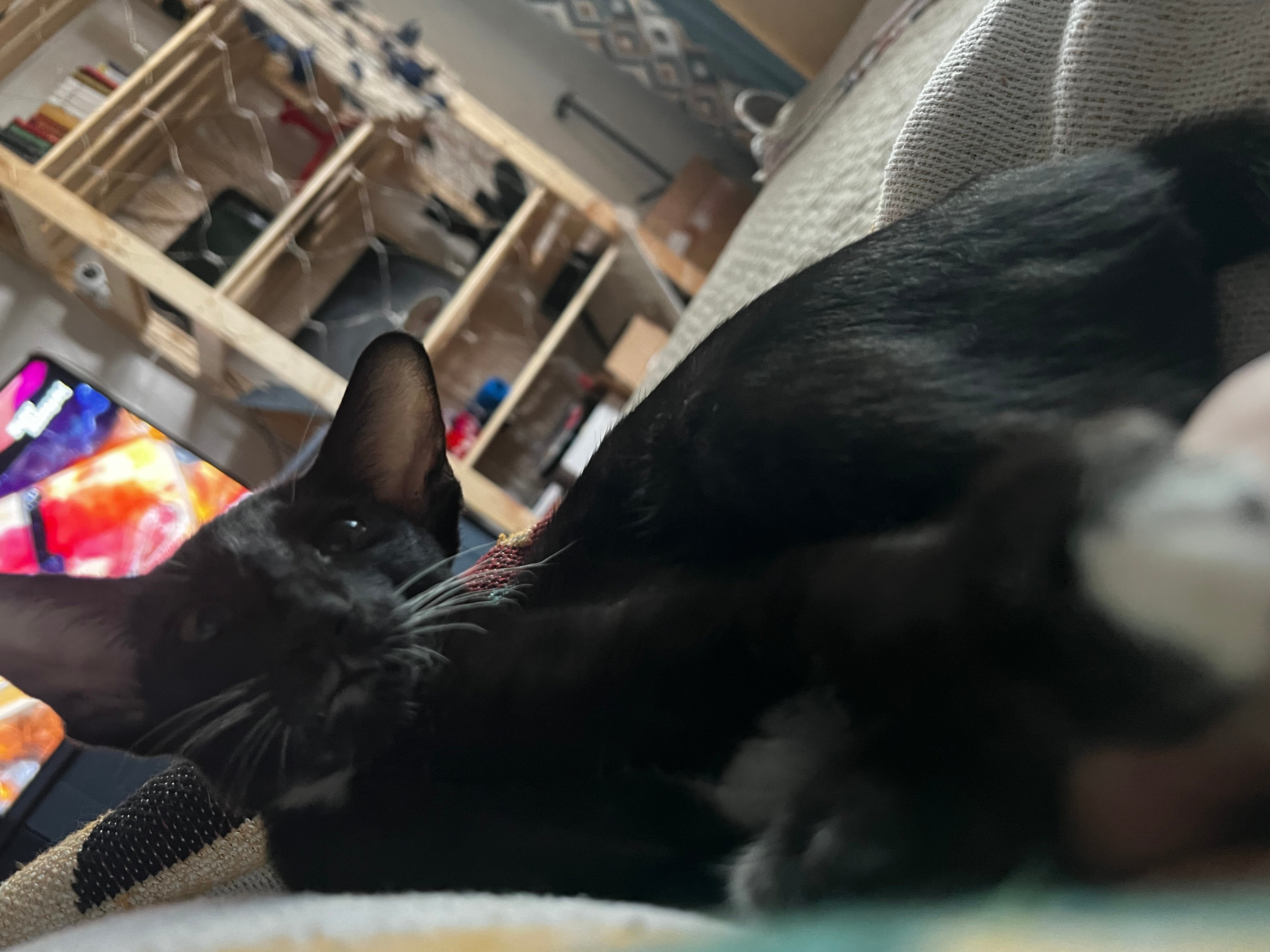 Фото Коттеджи у моря