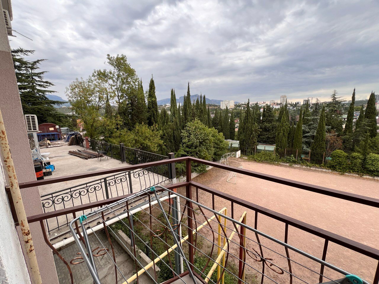 Фото Папайя