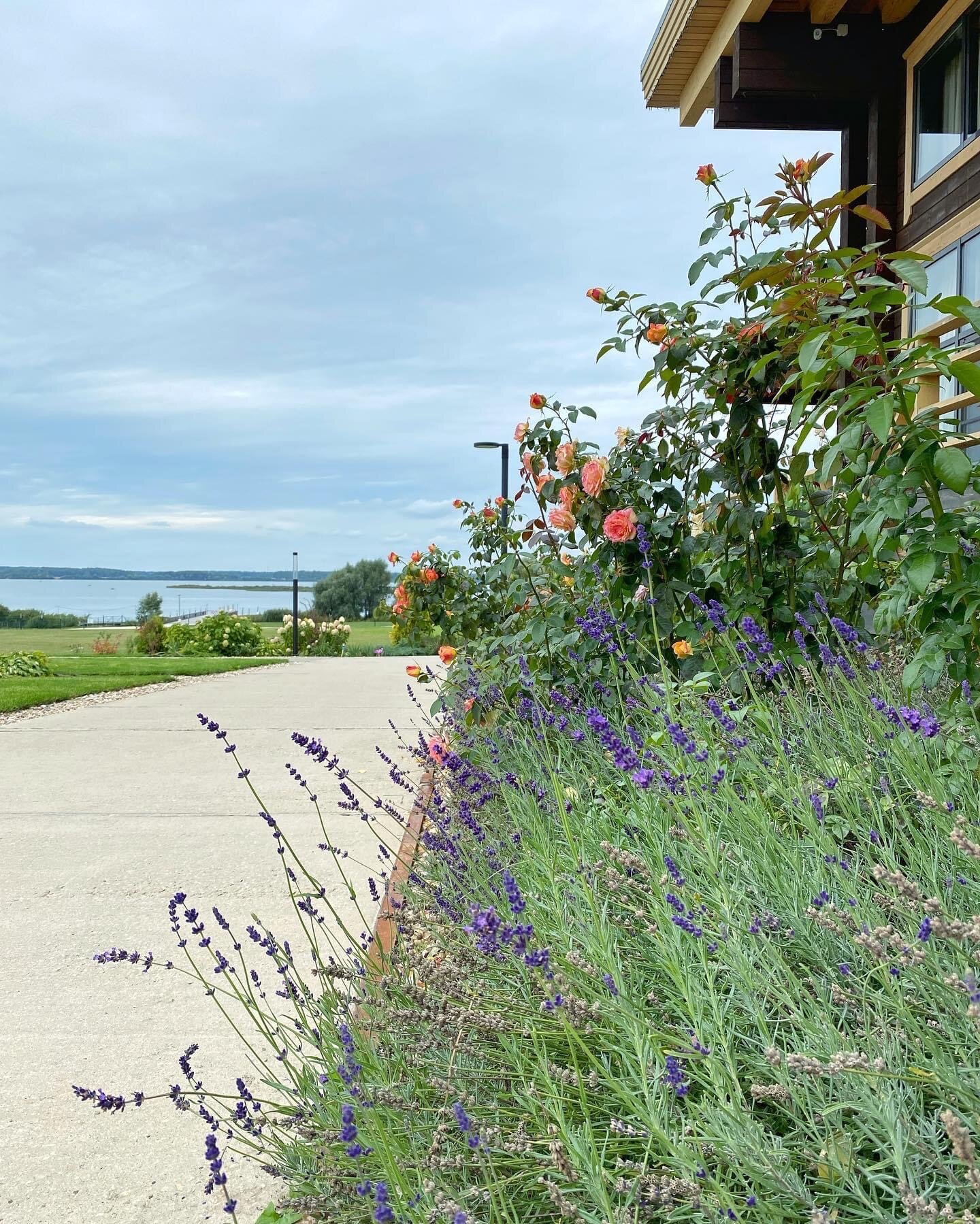 Фото Усадьба Зеехоф