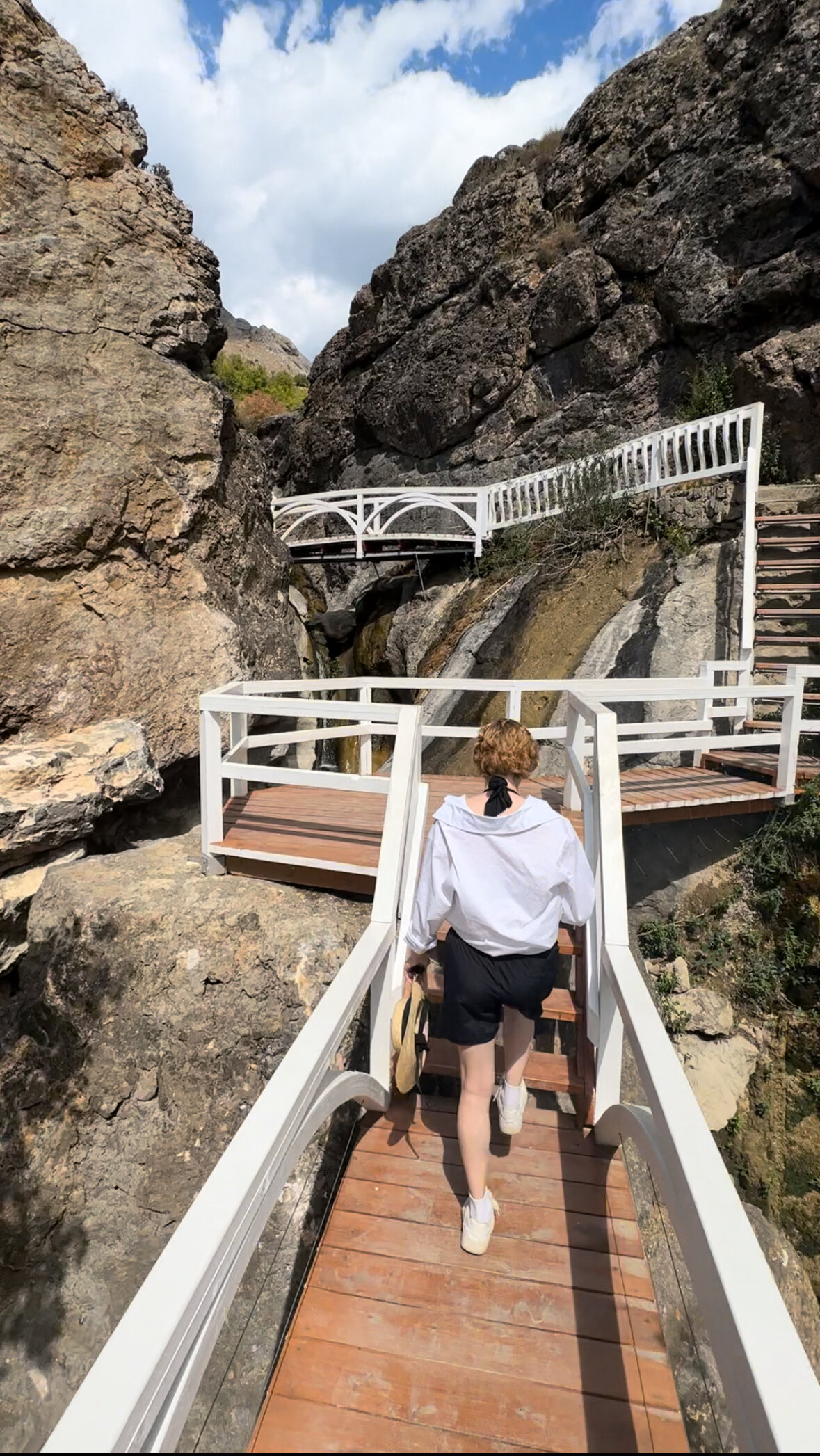 Фото Арпат Зеленогорье