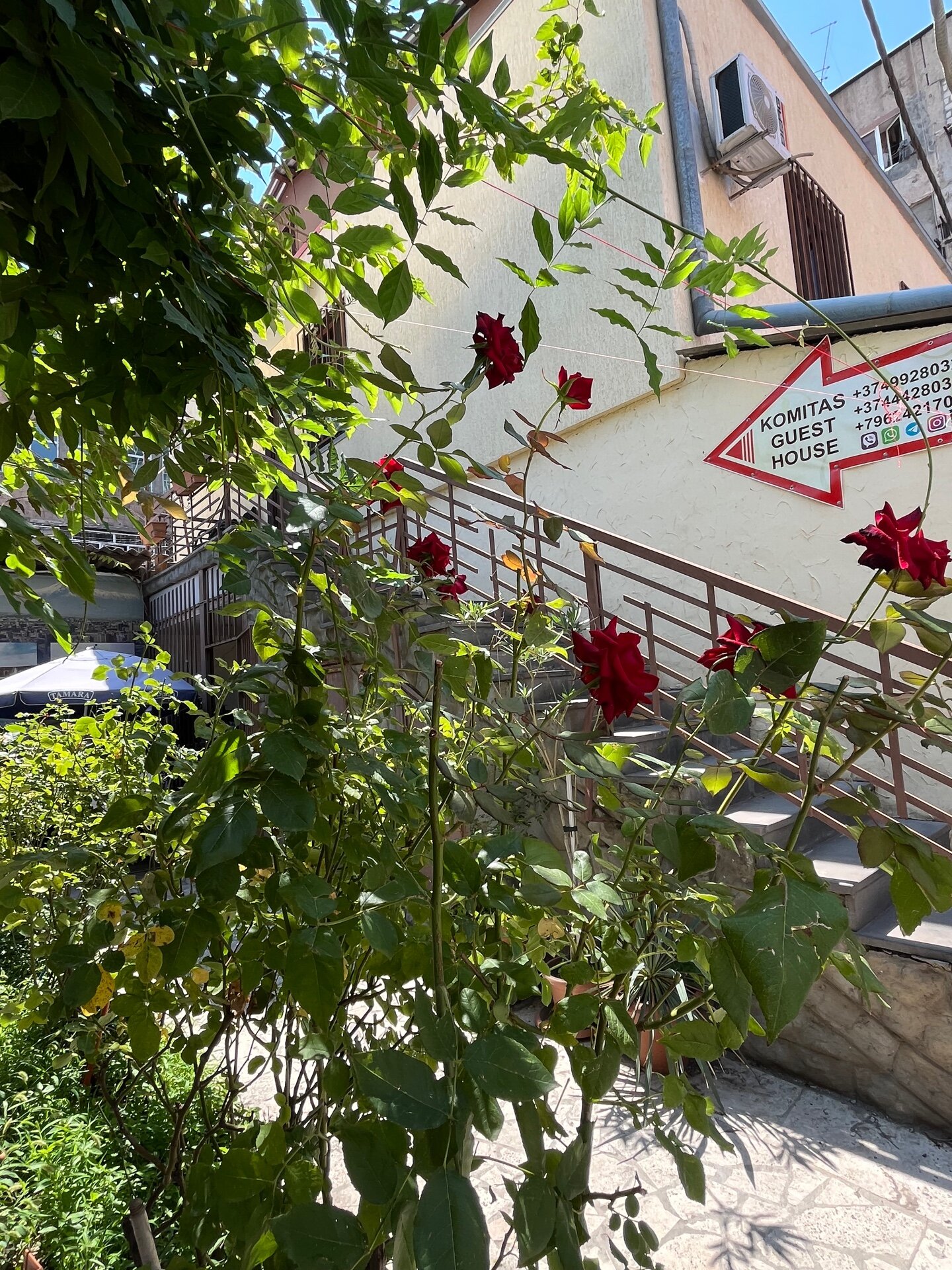 Фото Гостевой Дом Комитас